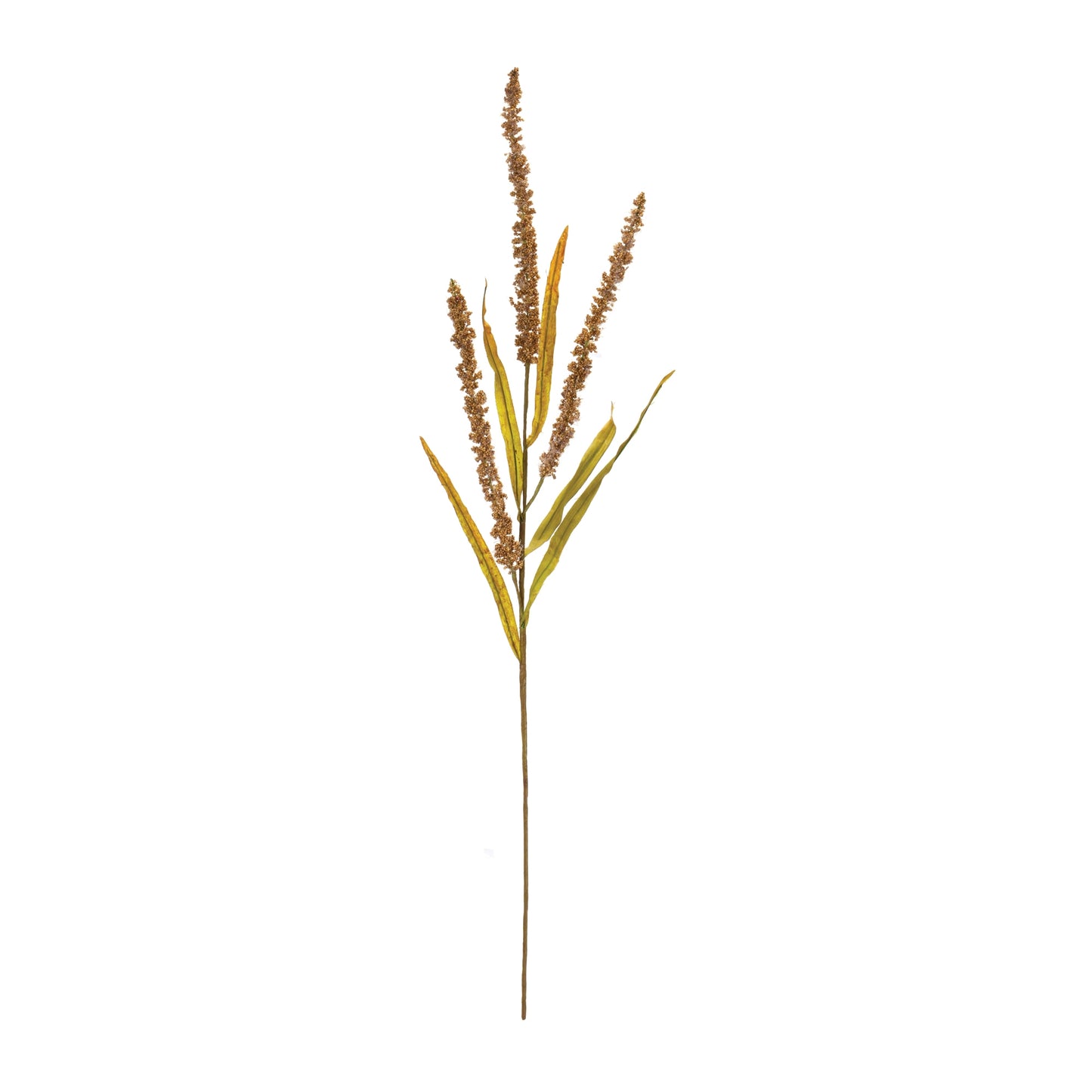 Seeded Plume Spray (Set of 12)
