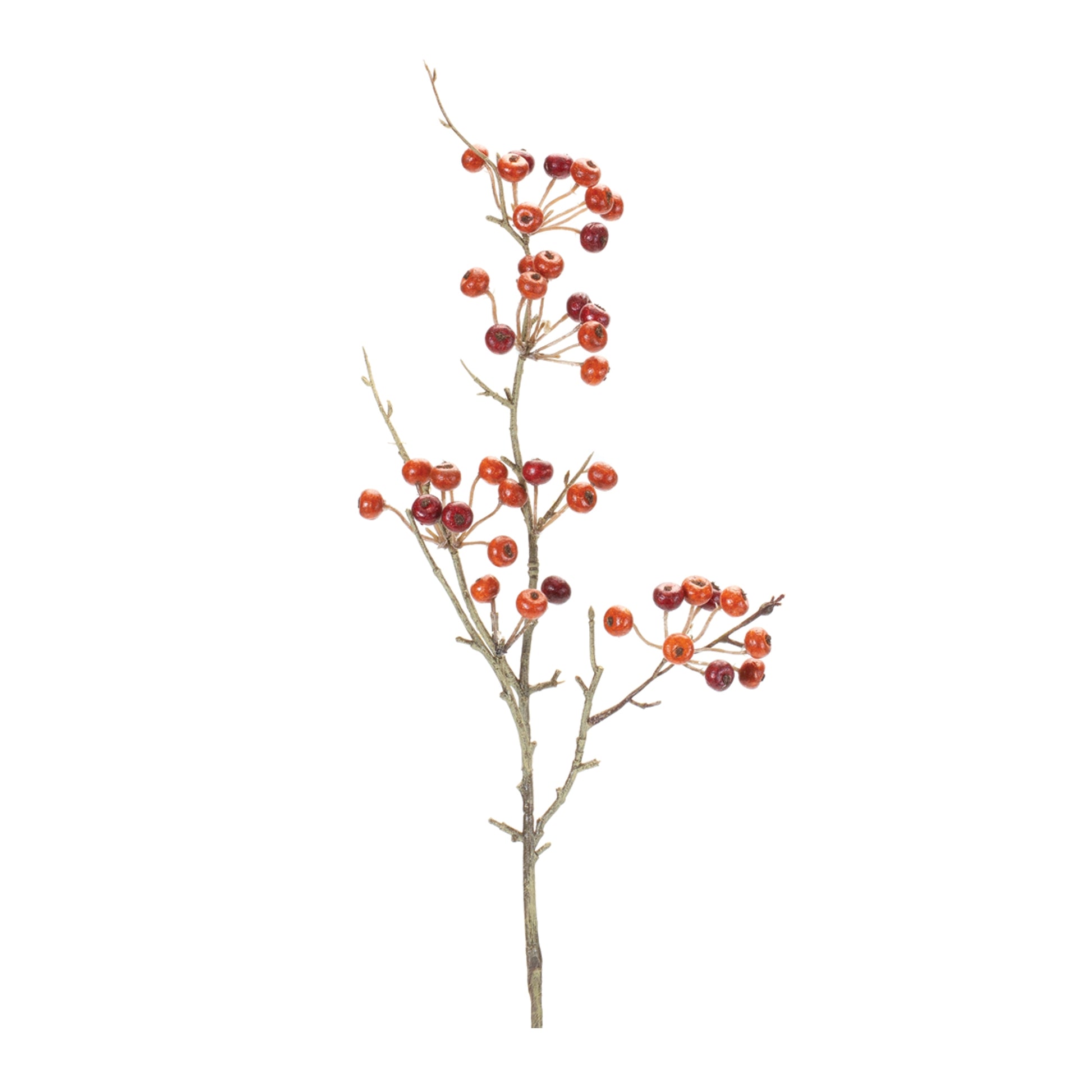Berry Pod Spray (Set of 6)