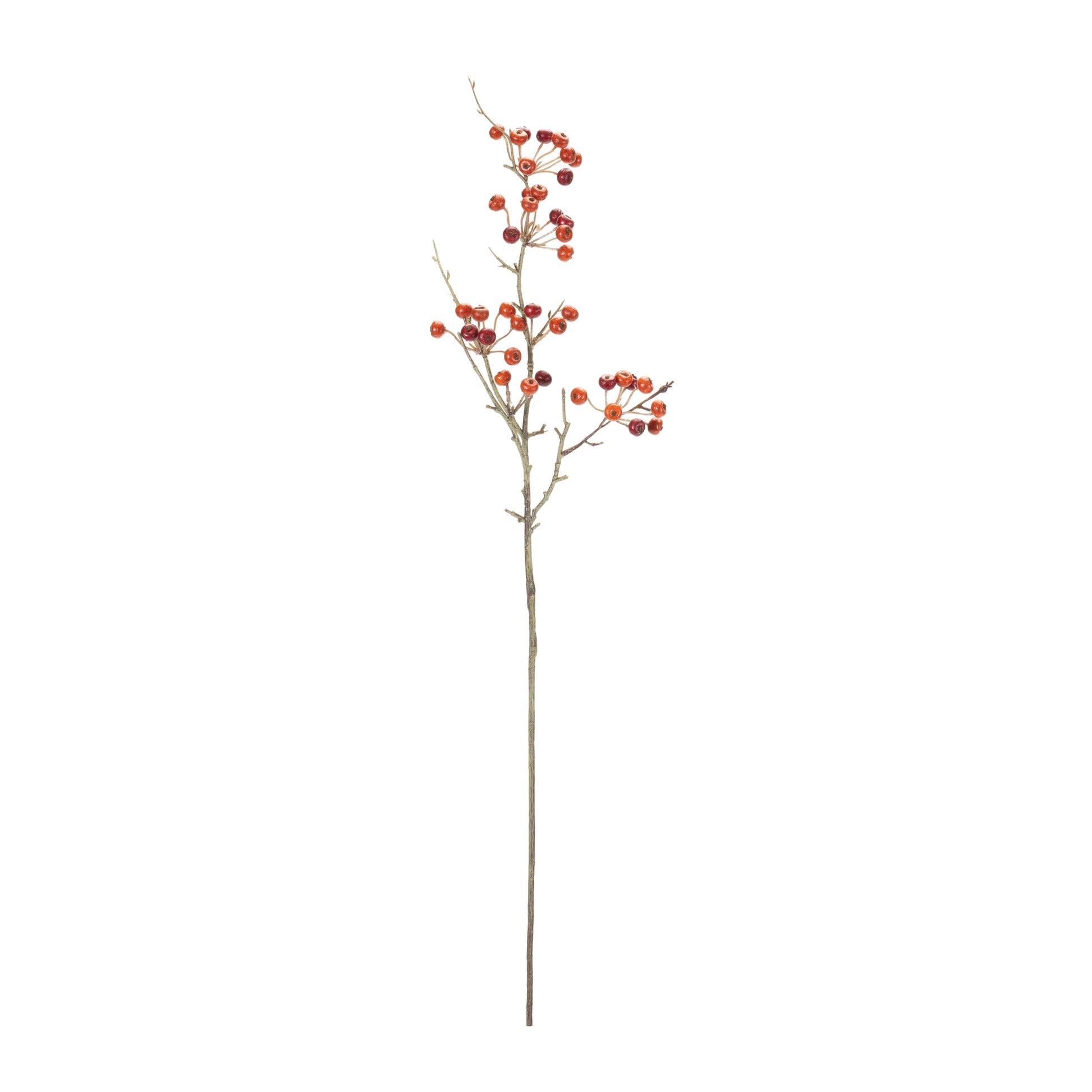 Berry Pod Spray (Set of 6)