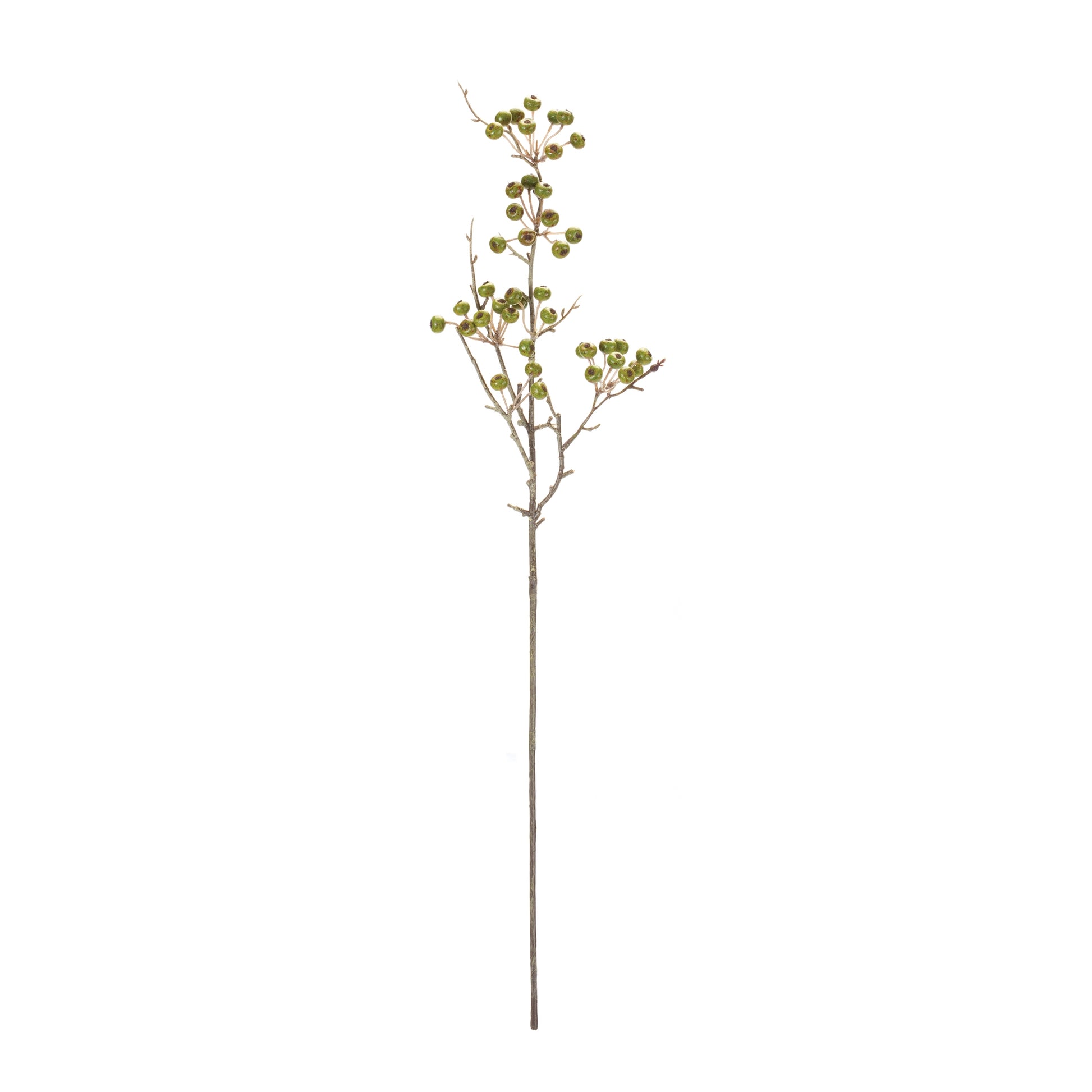 Winter Berry Pod Spray (Set of 12)