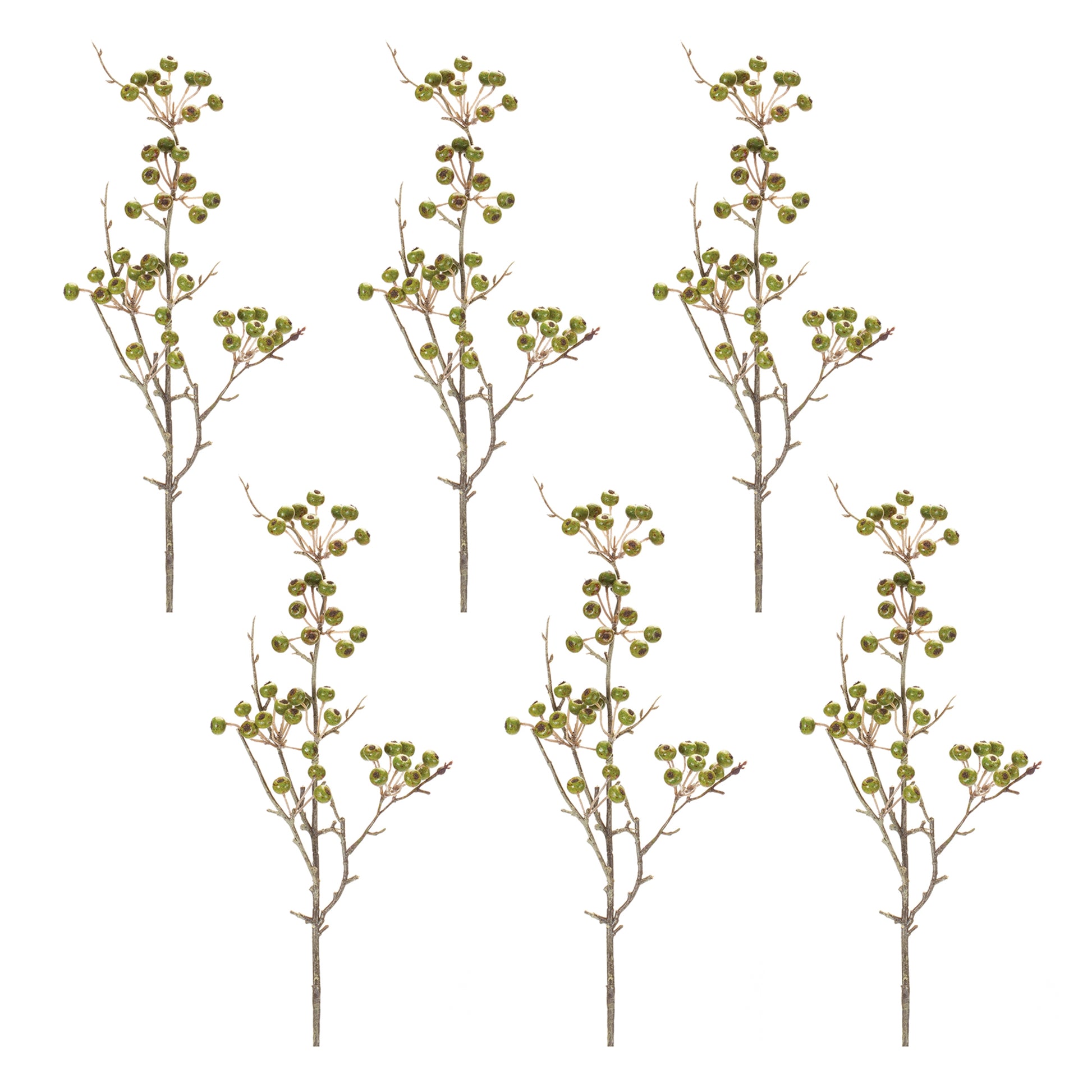 Winter Berry Pod Spray (Set of 12)