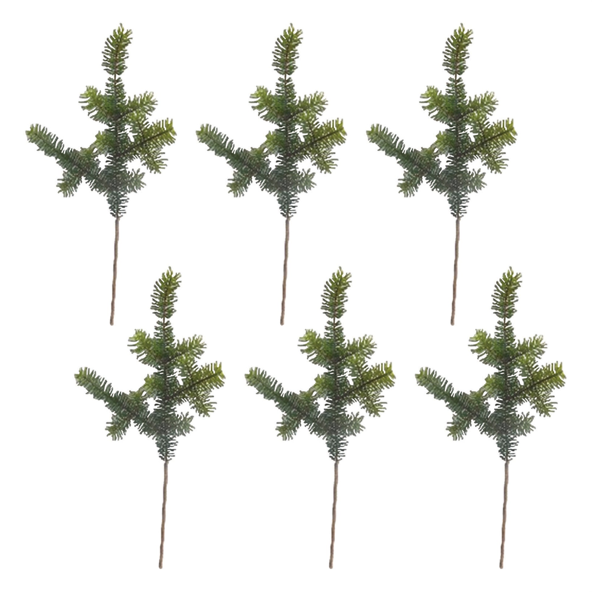 Pine Spray (Set of 6)