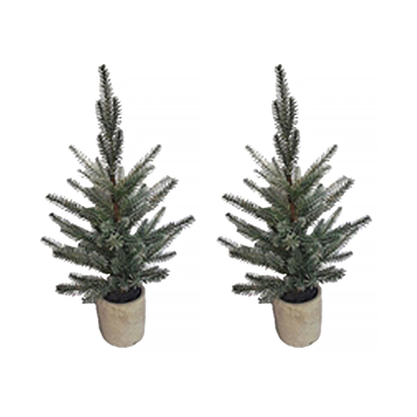 Pine Tree in Plastic Pot (Set of 2)