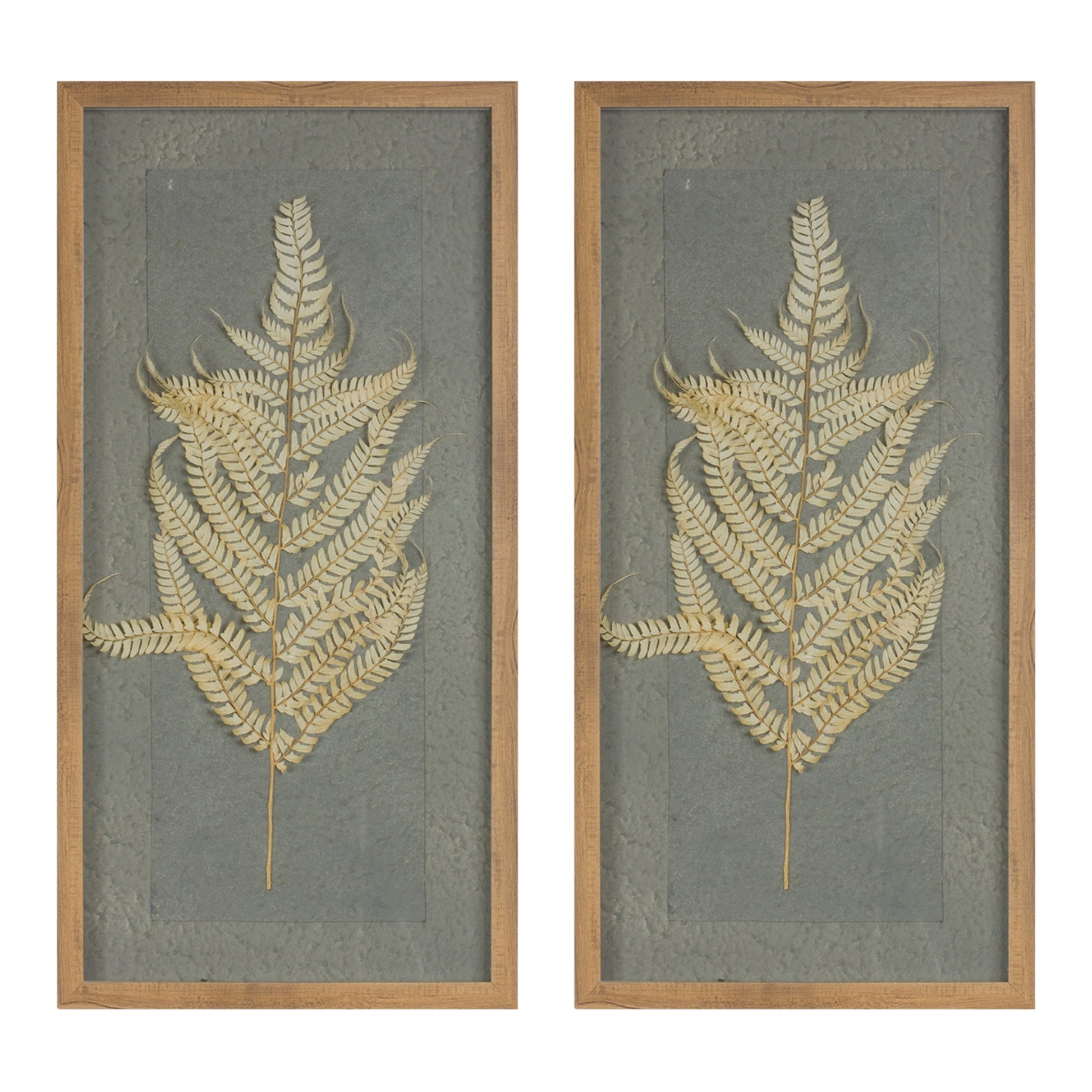 Dried Fern Frame (Set of 2)