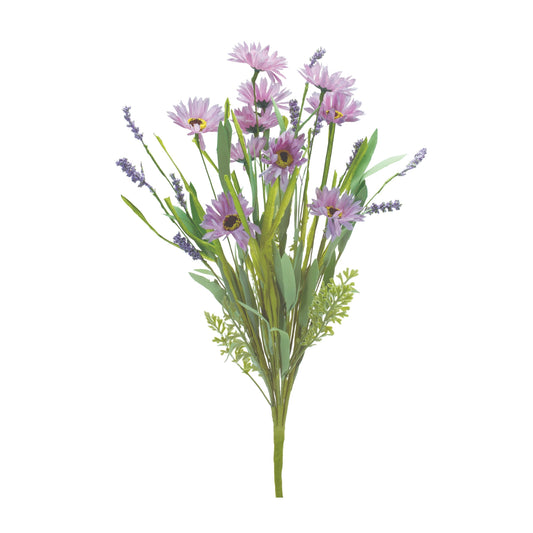 Mixed Daisy Bush (Set of 6)