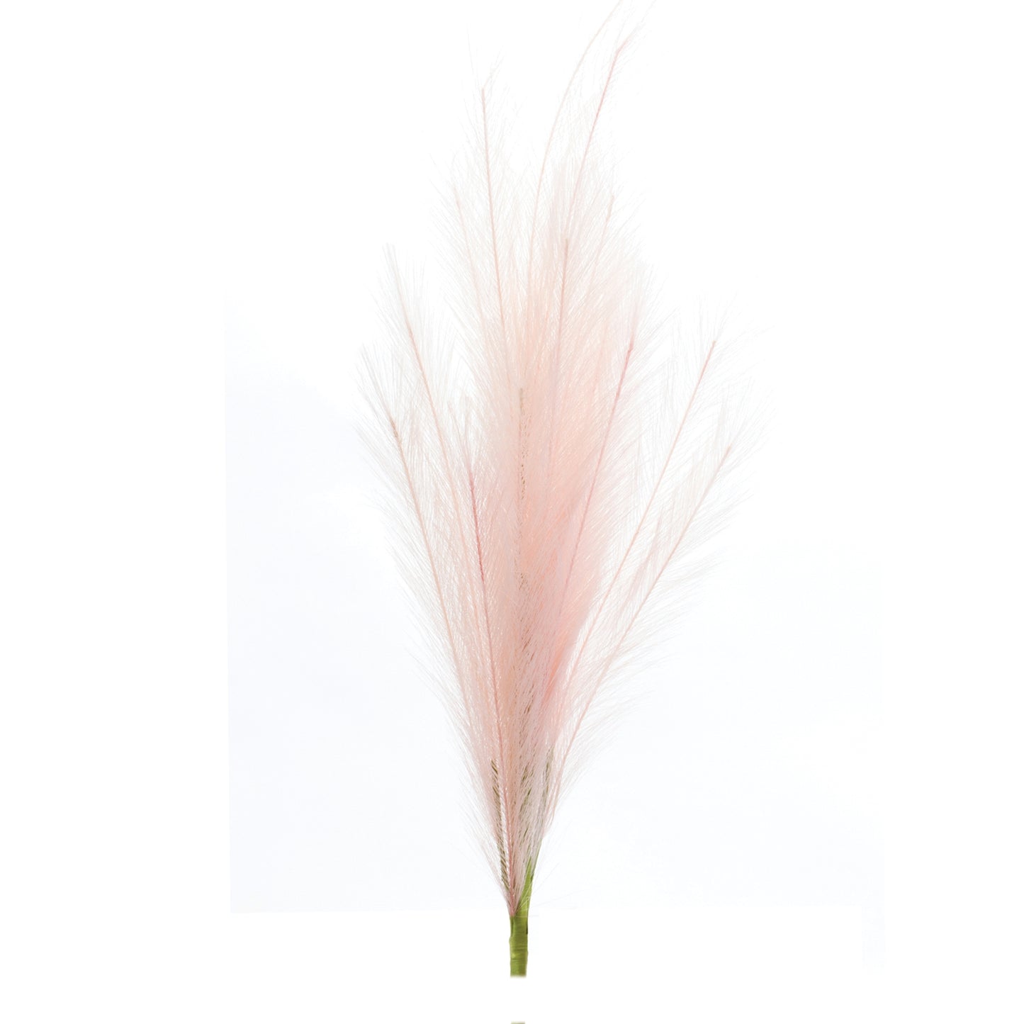 Assorted Pink Plume Spray (Set of 3)