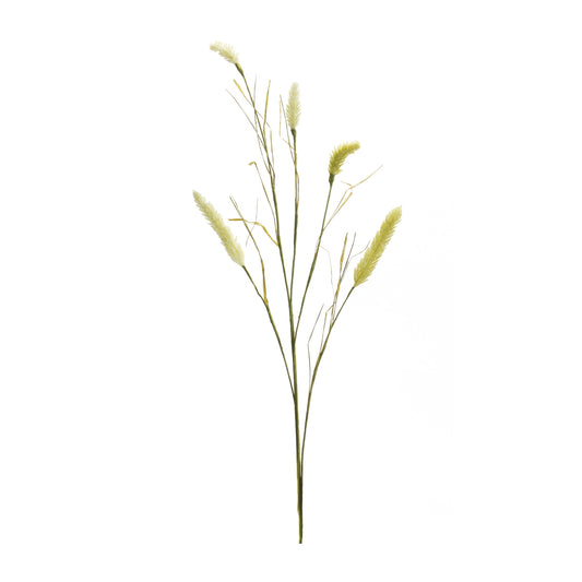 Foxtail Spray (Set of 6)