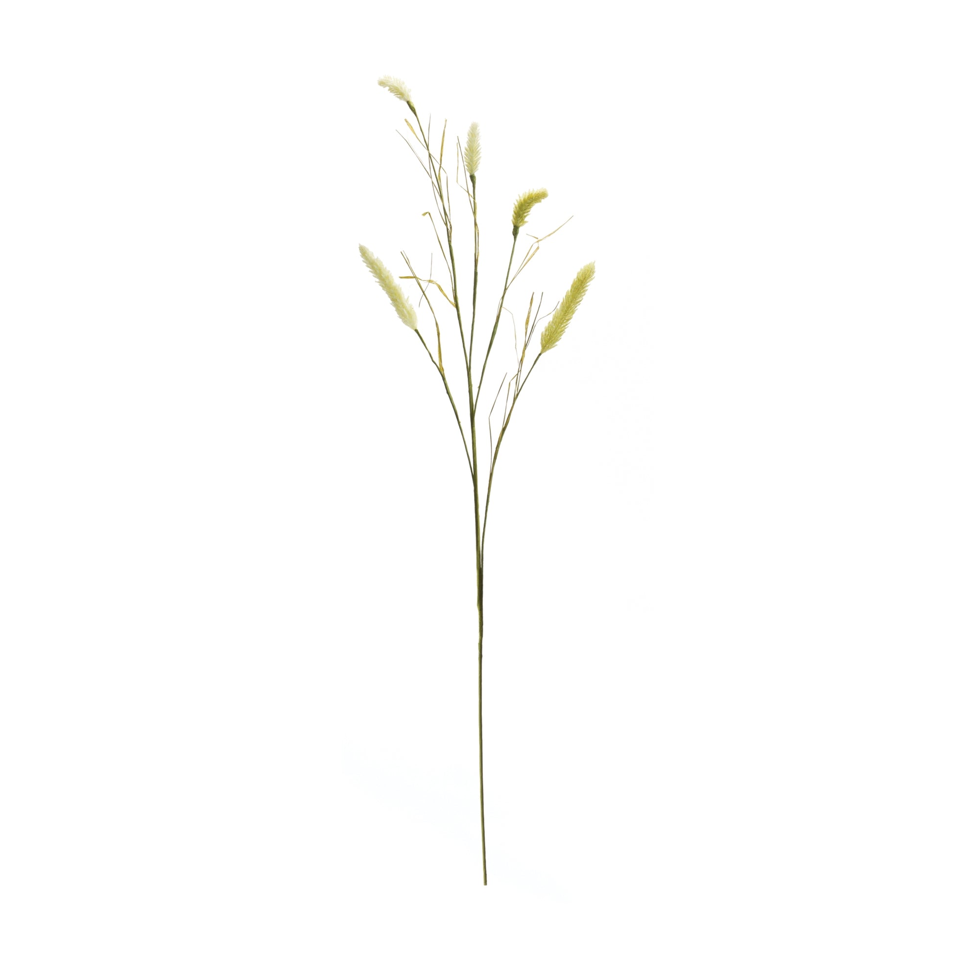 Foxtail Spray (Set of 6)