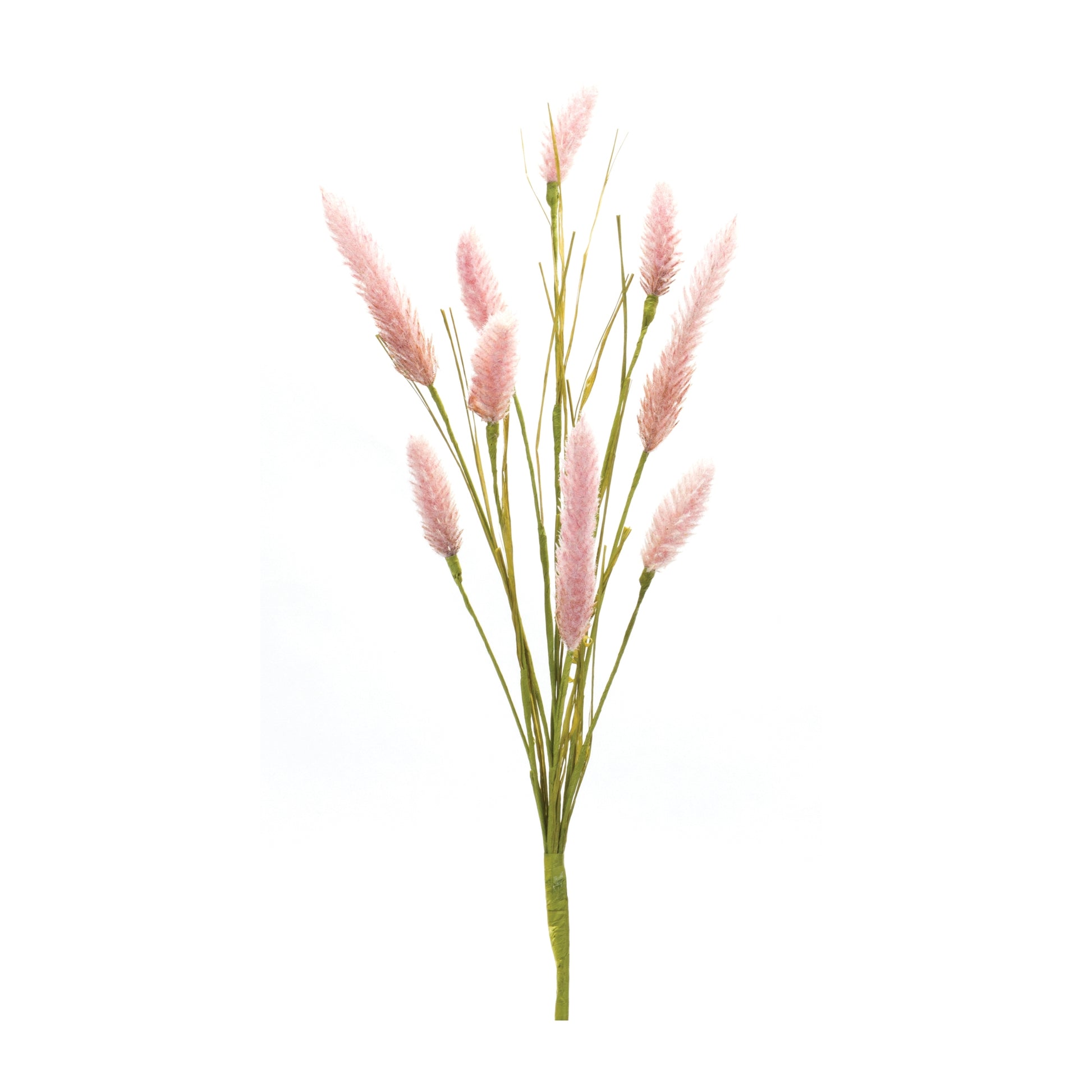 Foxtail Spray (Set of 6)