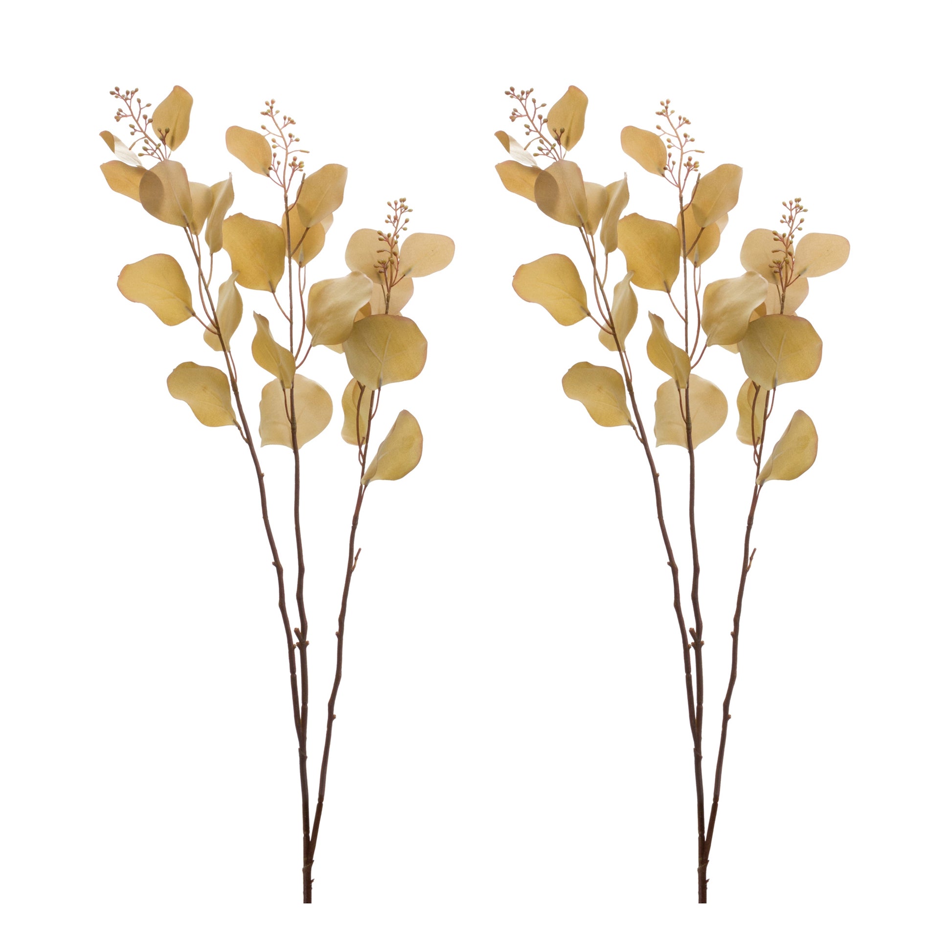 Seeded Eucalyptus Stem (Set of 2)