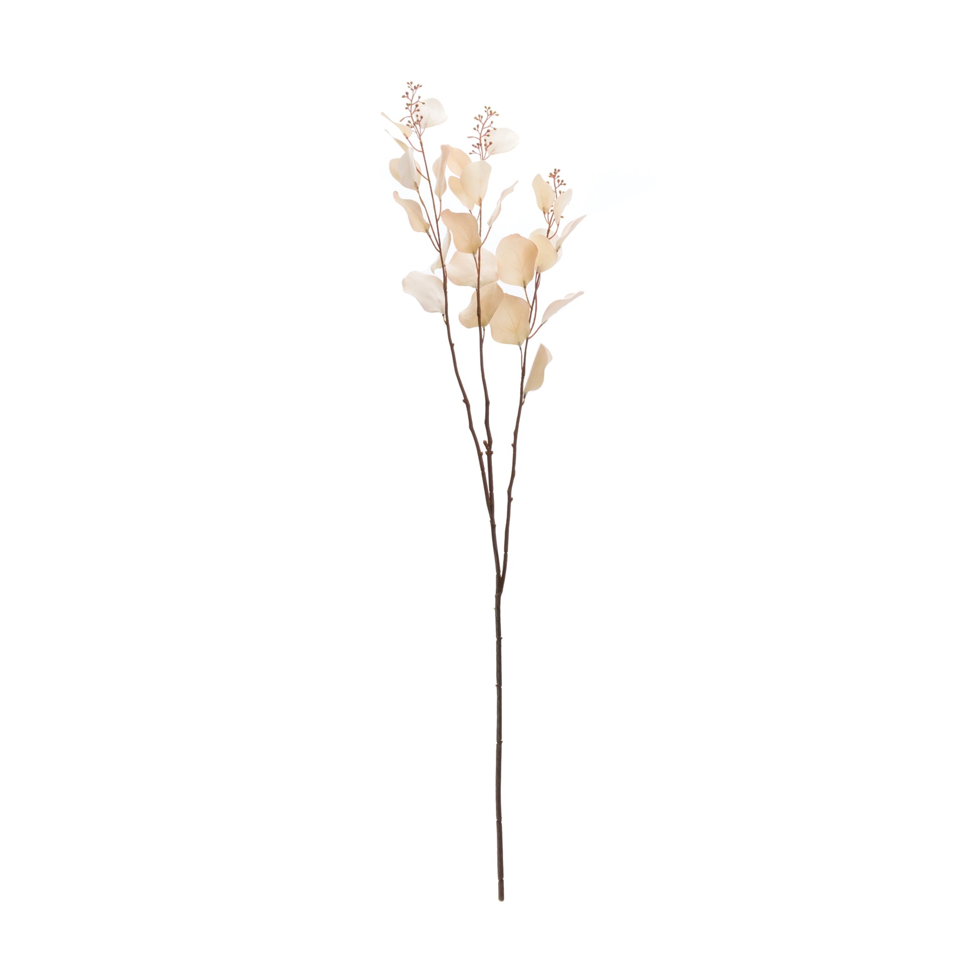 Seeded Eucalyptus Stem (Set of 2)