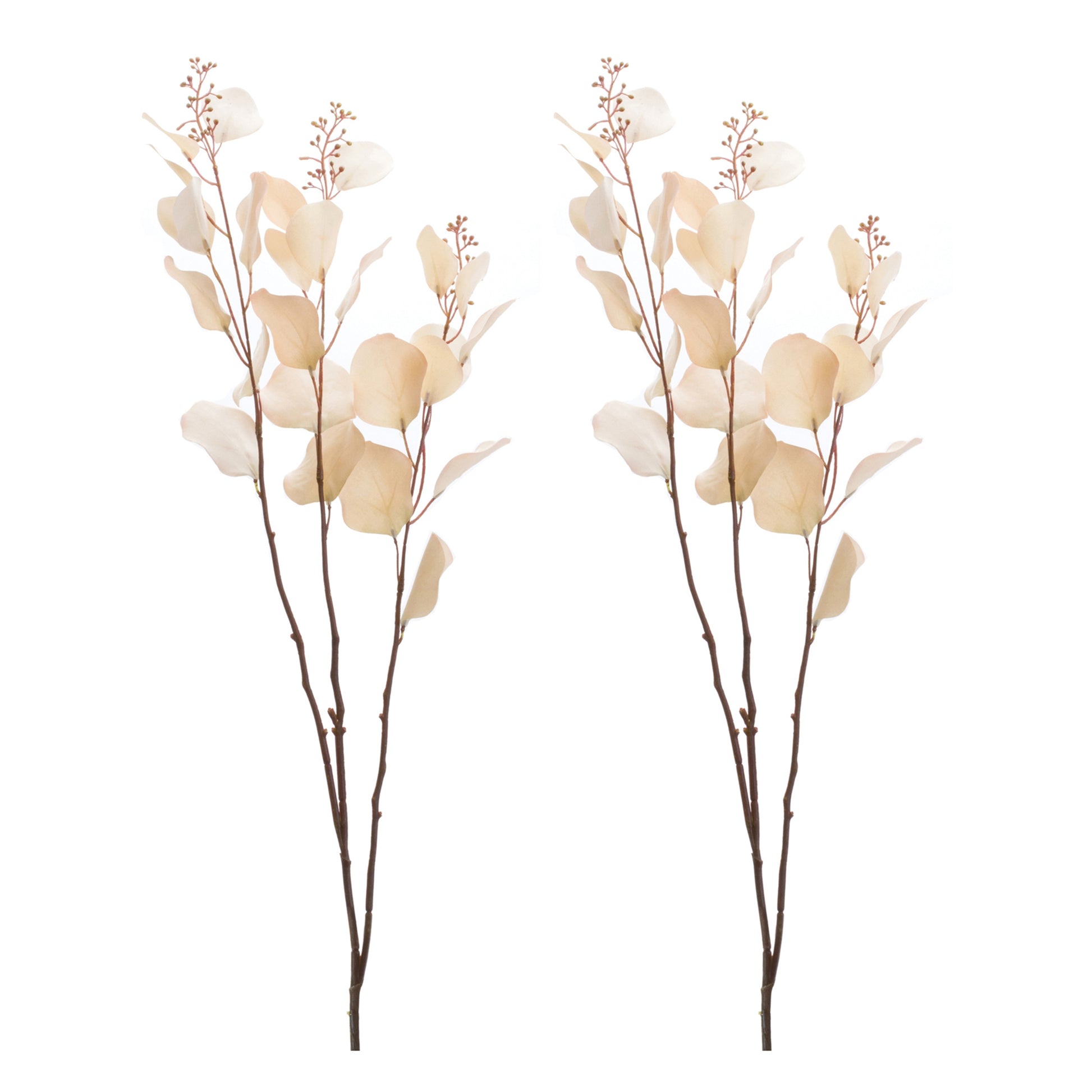 Seeded Eucalyptus Stem (Set of 2)