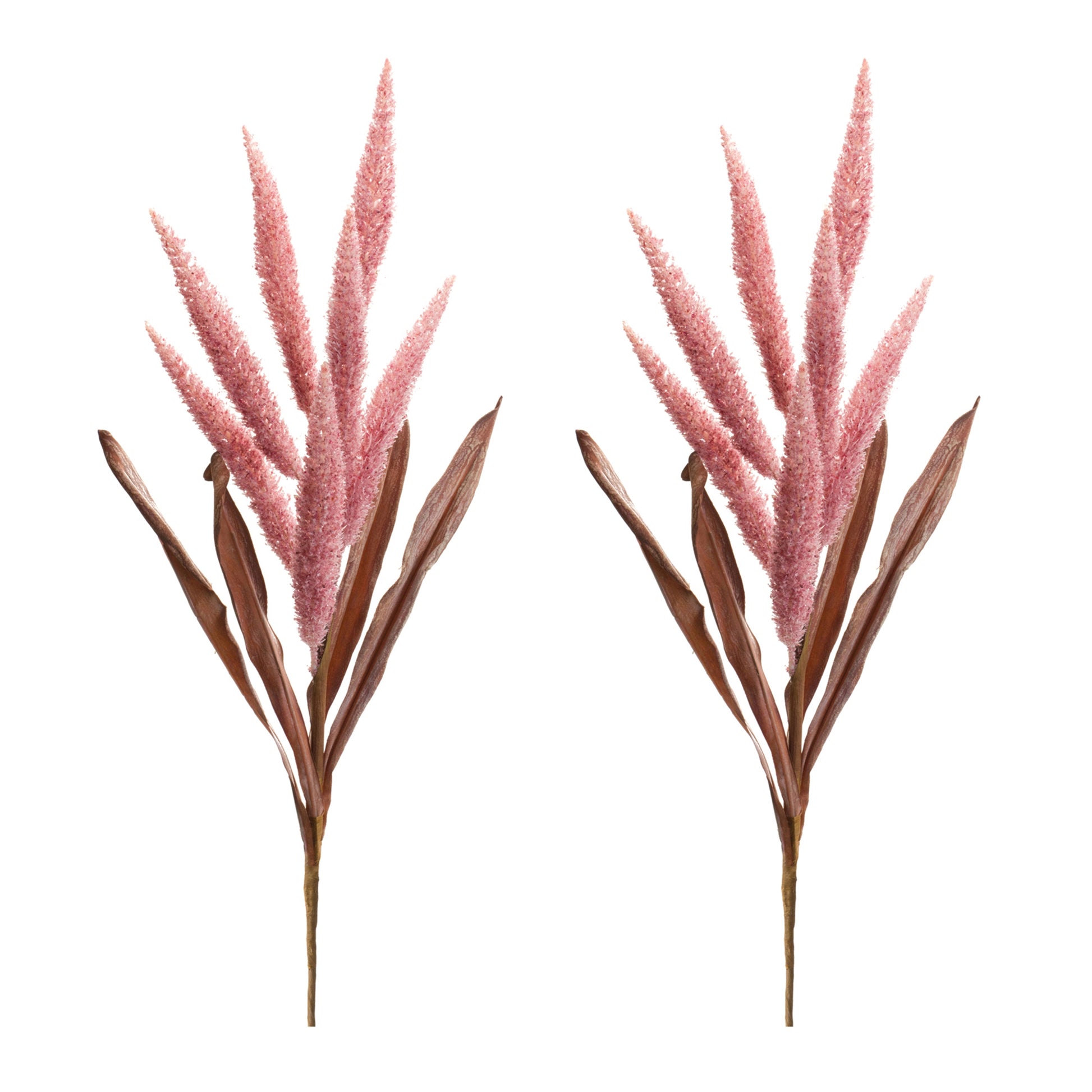 Foxtail Plume Stem (Set of 2)