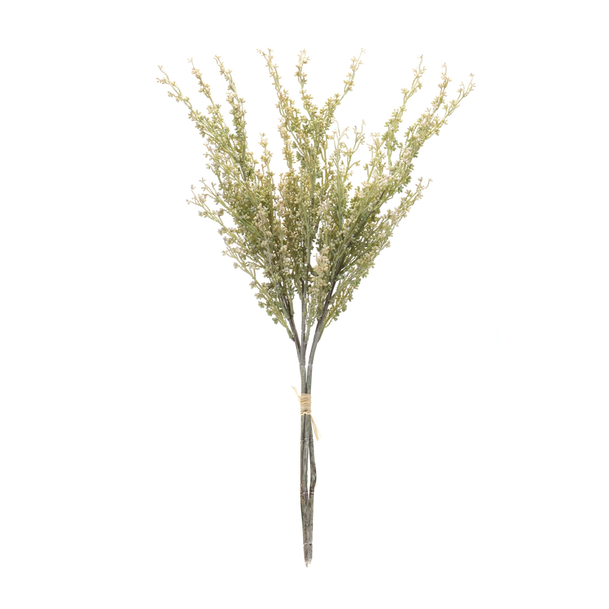Mini Seed Pod Bundle (Set of 2)