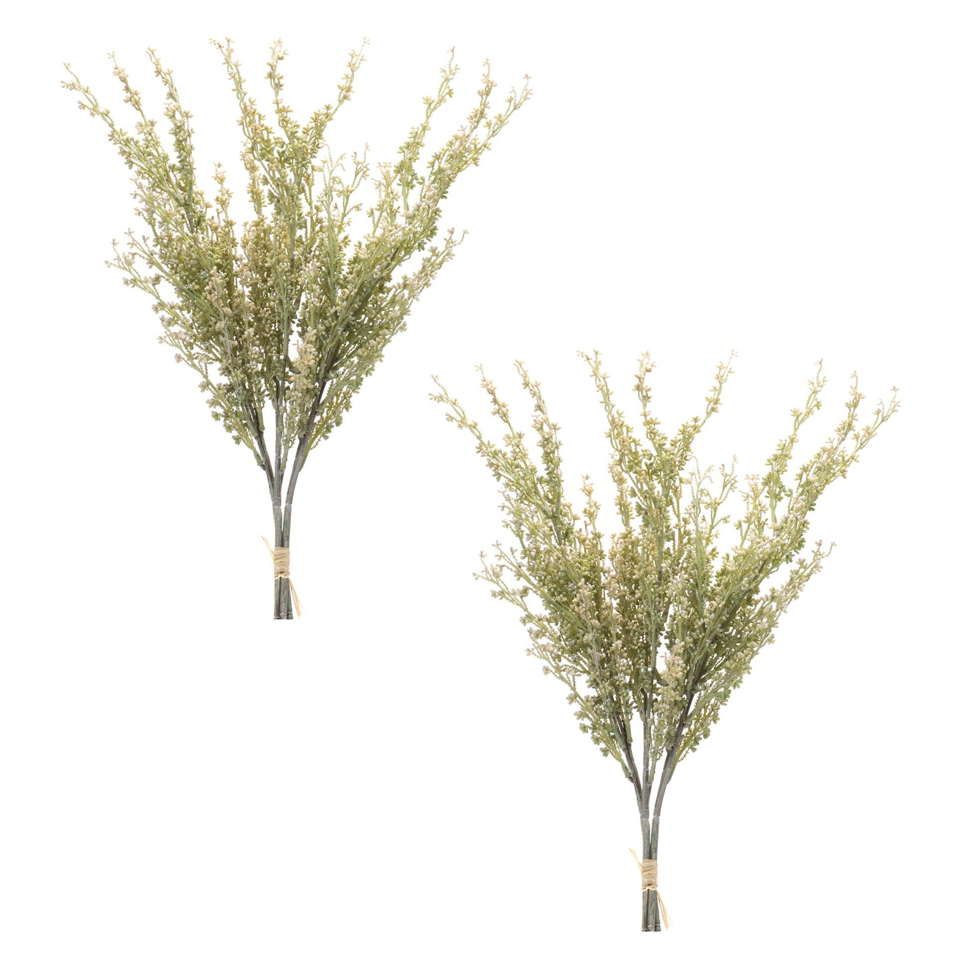 Mini Seed Pod Bundle (Set of 2)