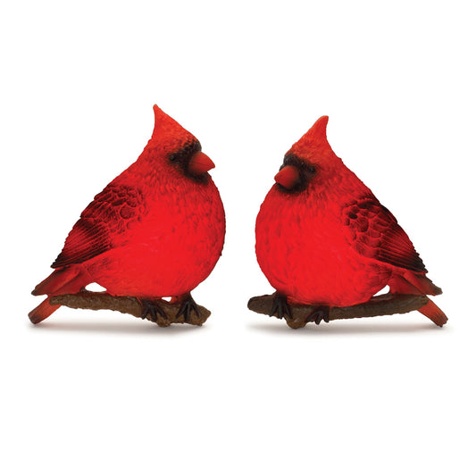 LED Cardinal Wall Accent (Set of 2) 9.5"L x 11"H Resin 3 AAA Batteries, Not Included