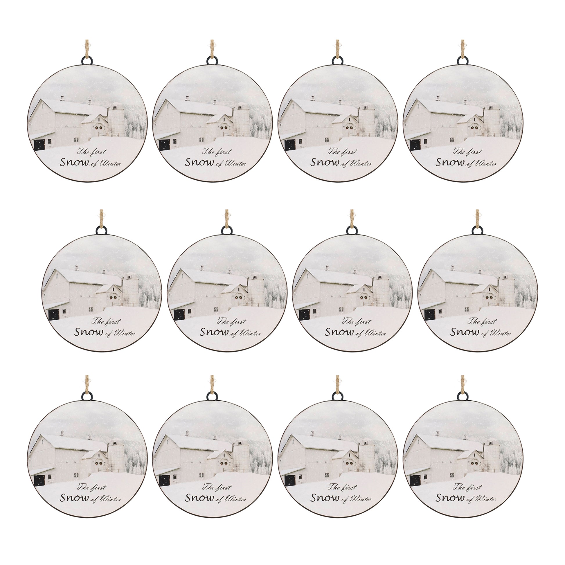 Metal First Snow Disc Ornament (Set of 12)