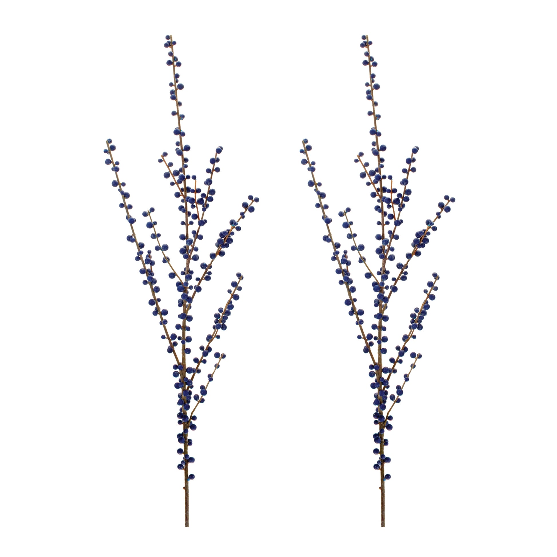 Ilex Blue Berry Spray (Set of 2)