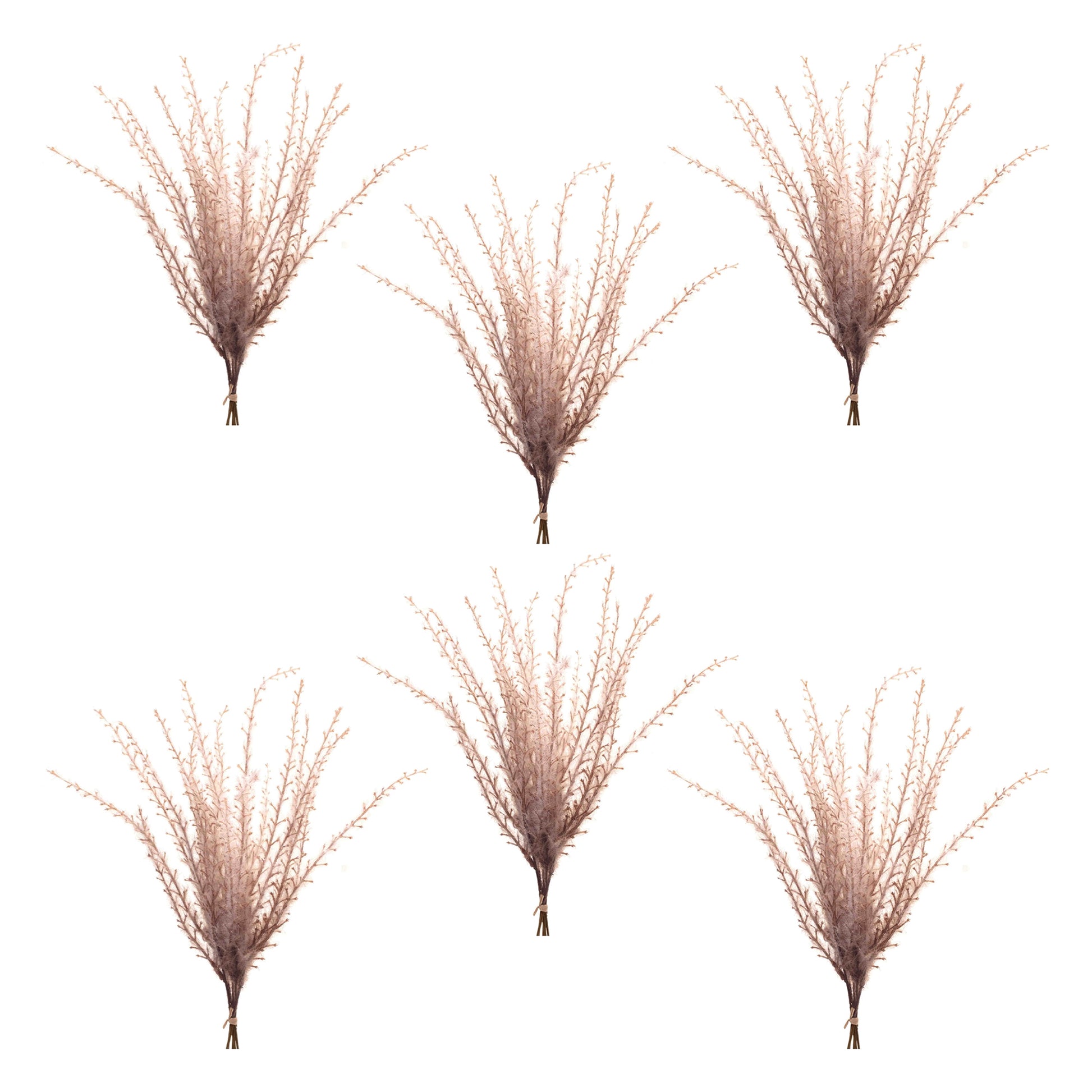 Grass Plume Bundle (Set of 6)
