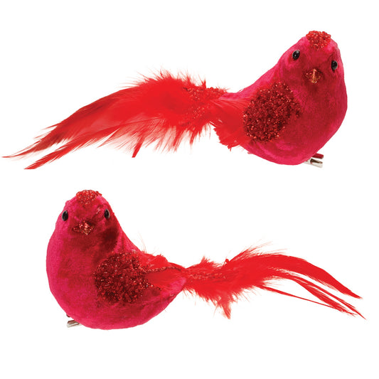 Bird Clip (Set of 24) 8"L x 3.5"H Foam/Velvet