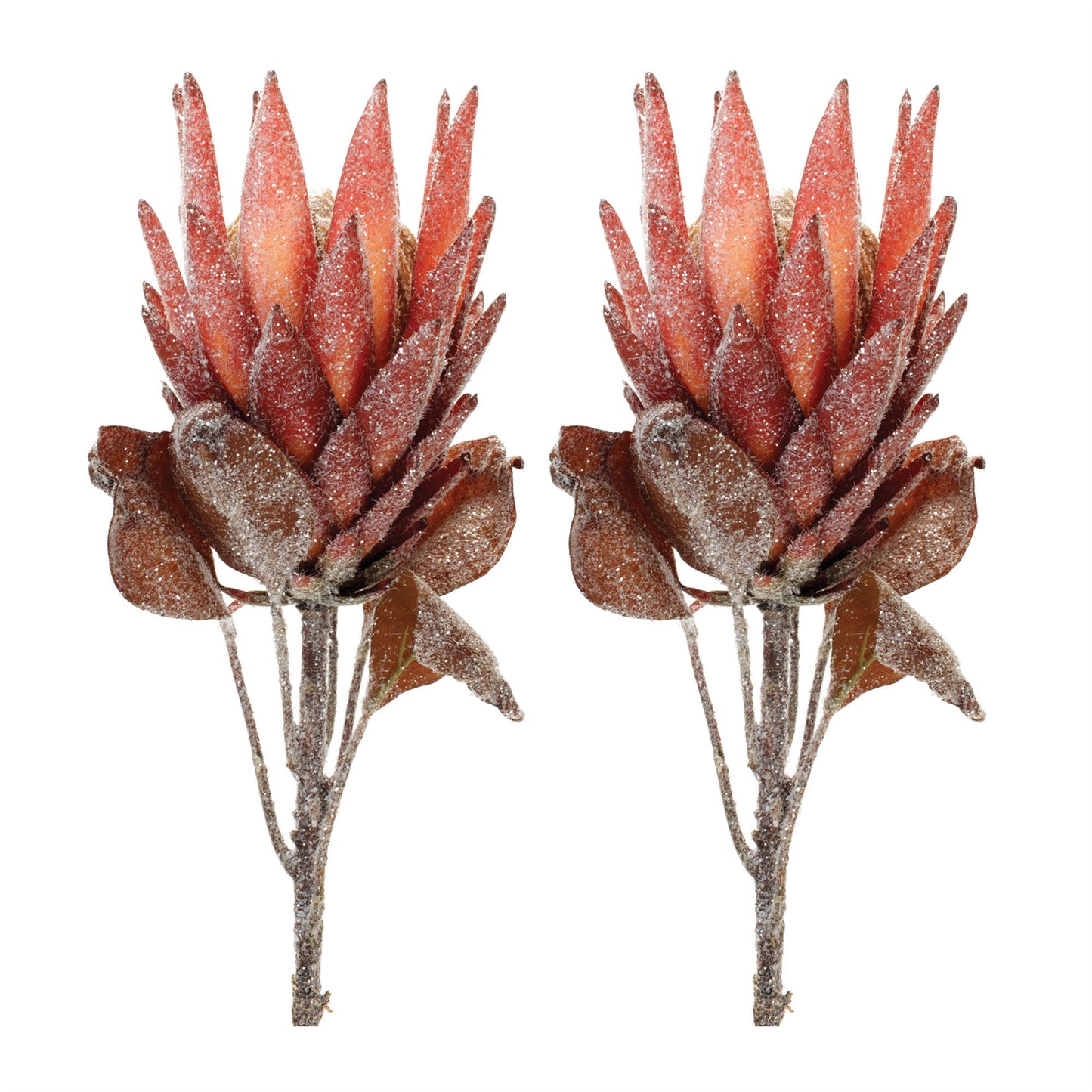 Red Protea Flower Stem (Set of 2)