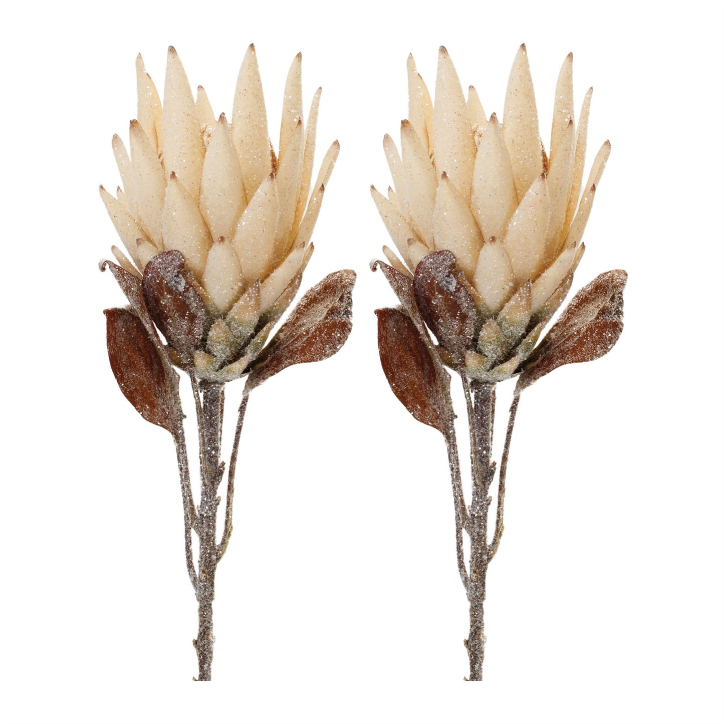 Beige Protea Flower Stem (Set of 2)