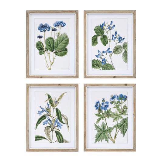 Framed Floral Print (Set of 4) 13.75"L x 17.5"H Wood/MDF/Glass