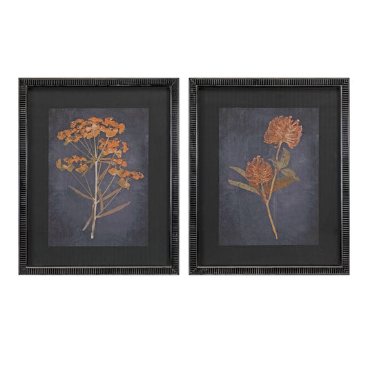 Framed Botanical Print (Set of 2) 17.5"L x 21.5"H Wood/MDF/Glass