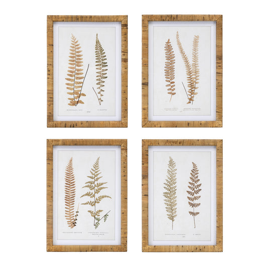 Framed Fern Print (Set of 4) 17.75"SQ Wood/MDF/Glass