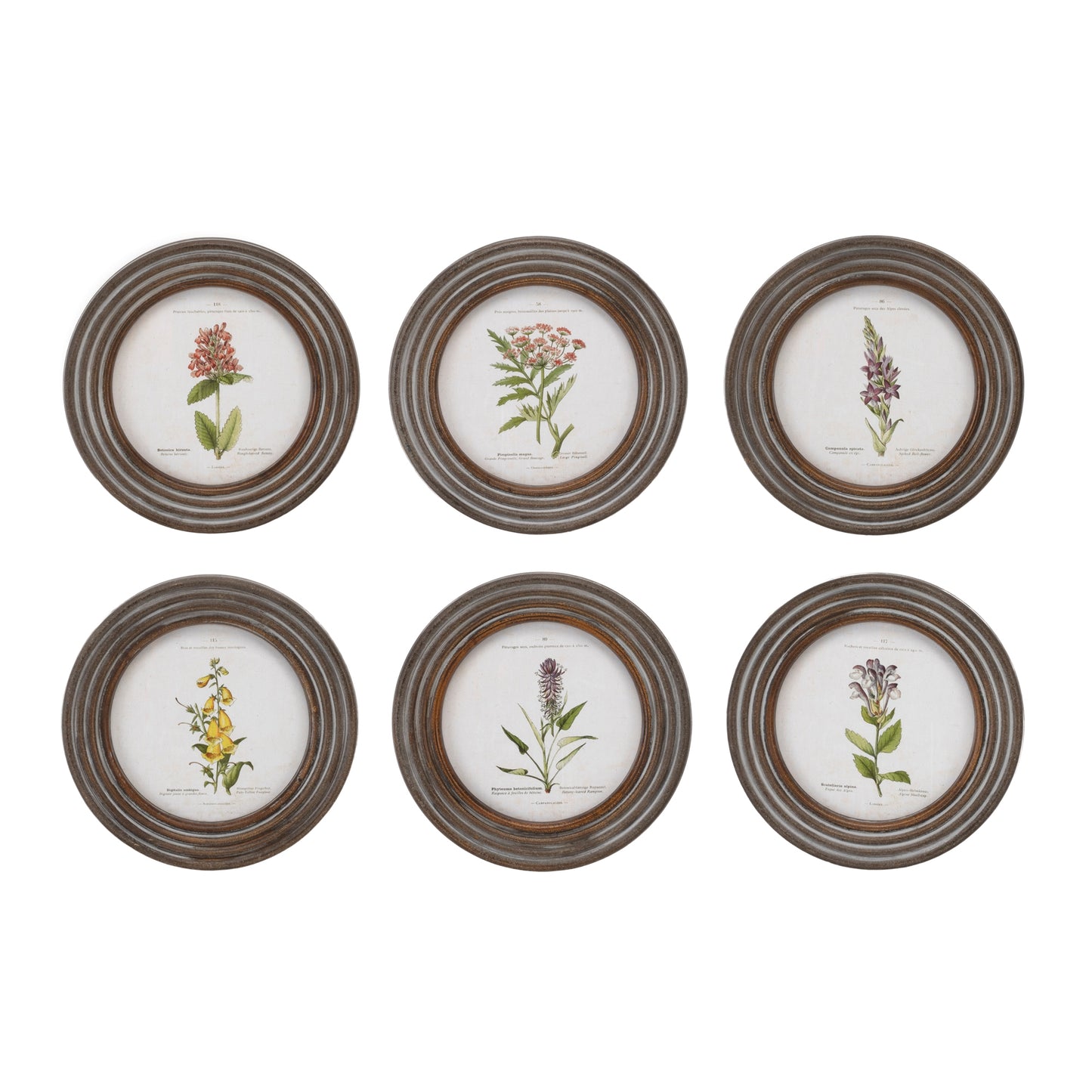 Framed Floral Print (Set of 6) 9.5"D Wood/MDF/Glass