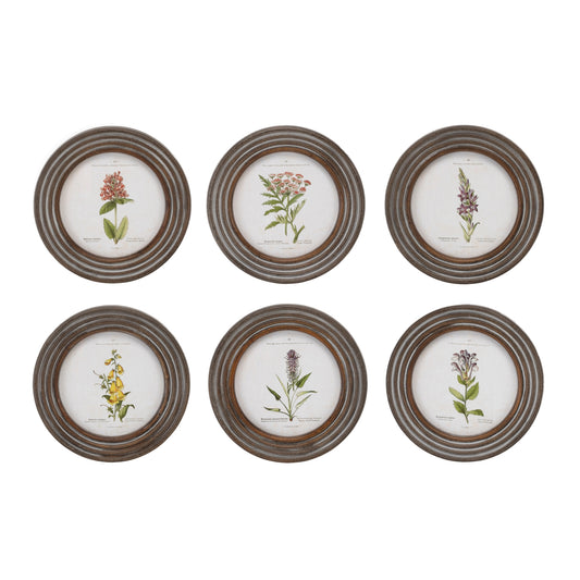 Framed Floral Print (Set of 6) 9.5"D Wood/MDF/Glass