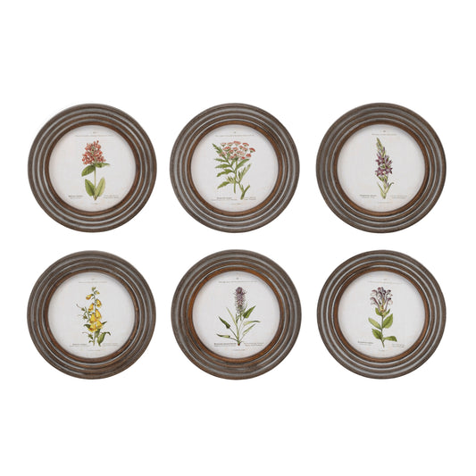 Round Framed Floral Print (Set of 6)