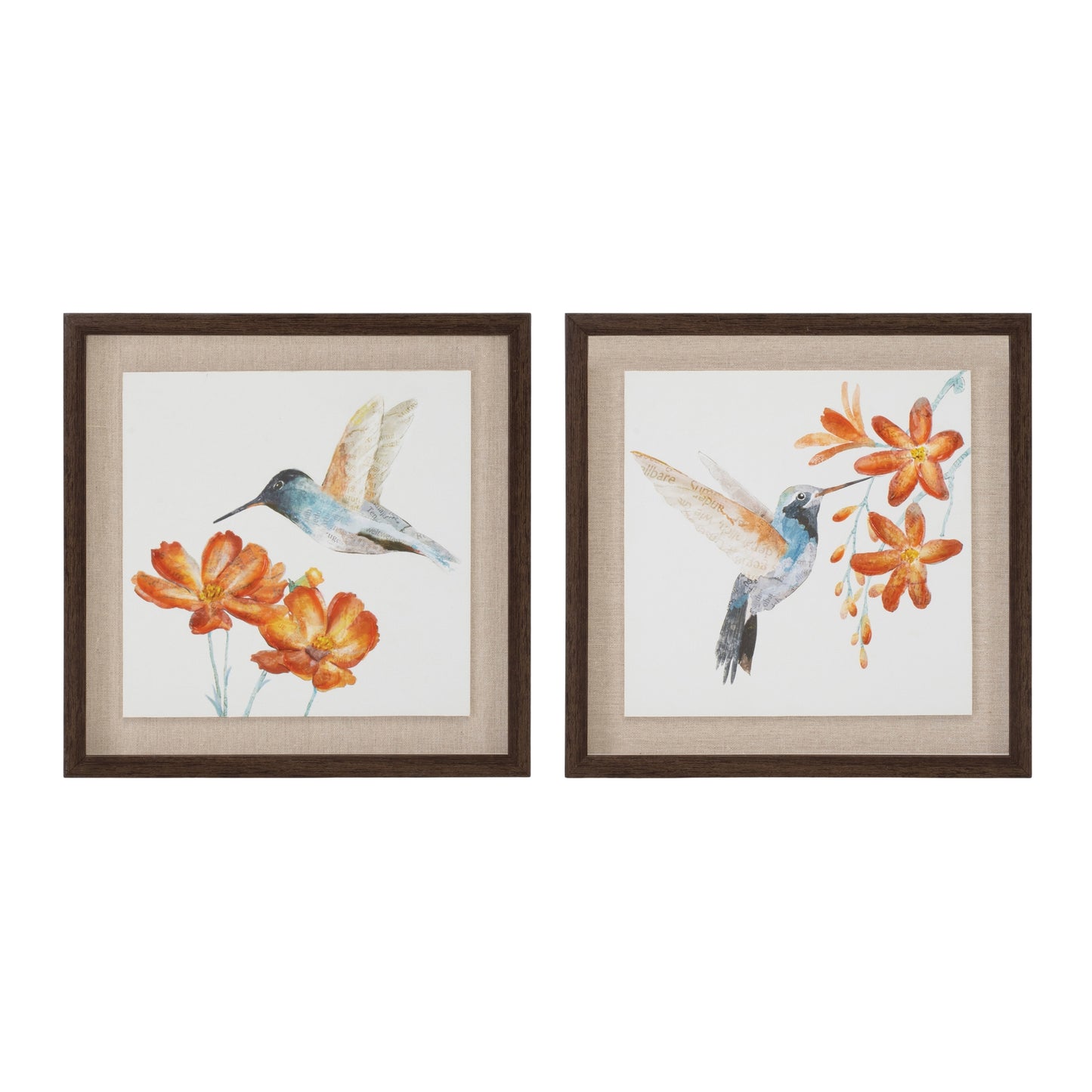 Framed Hummingbird Print (Set of 2) 12"SQ MDF/Canvas/Plastic