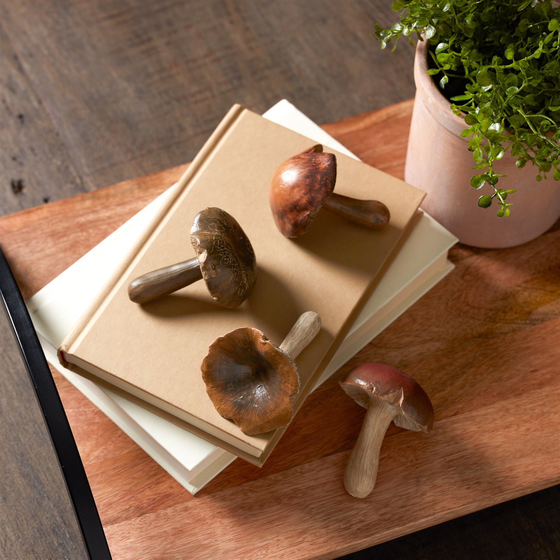 Stone Mushroom Shelf Sitter (Set of 12)