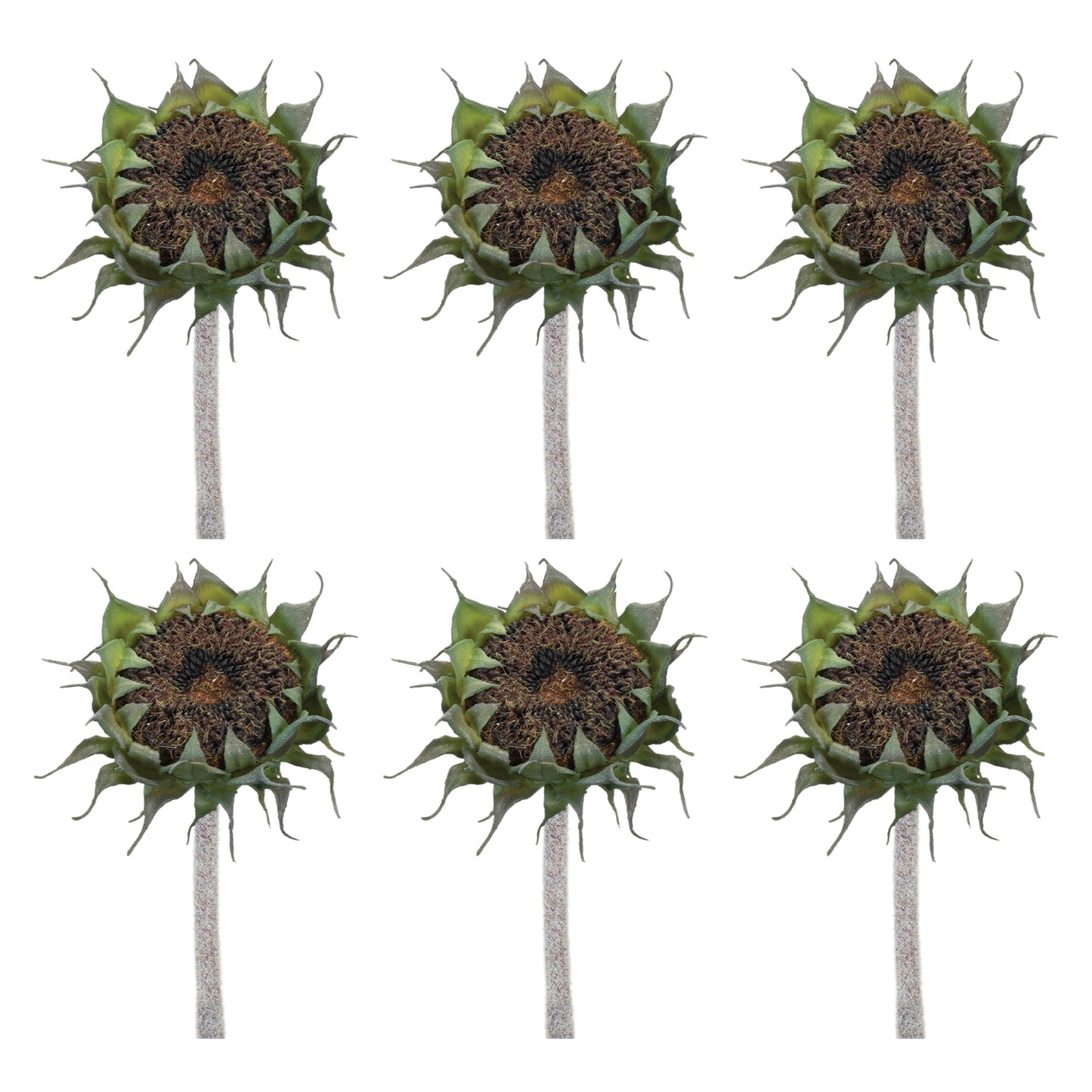 Brown Sunflower Stem (Set of 6)
