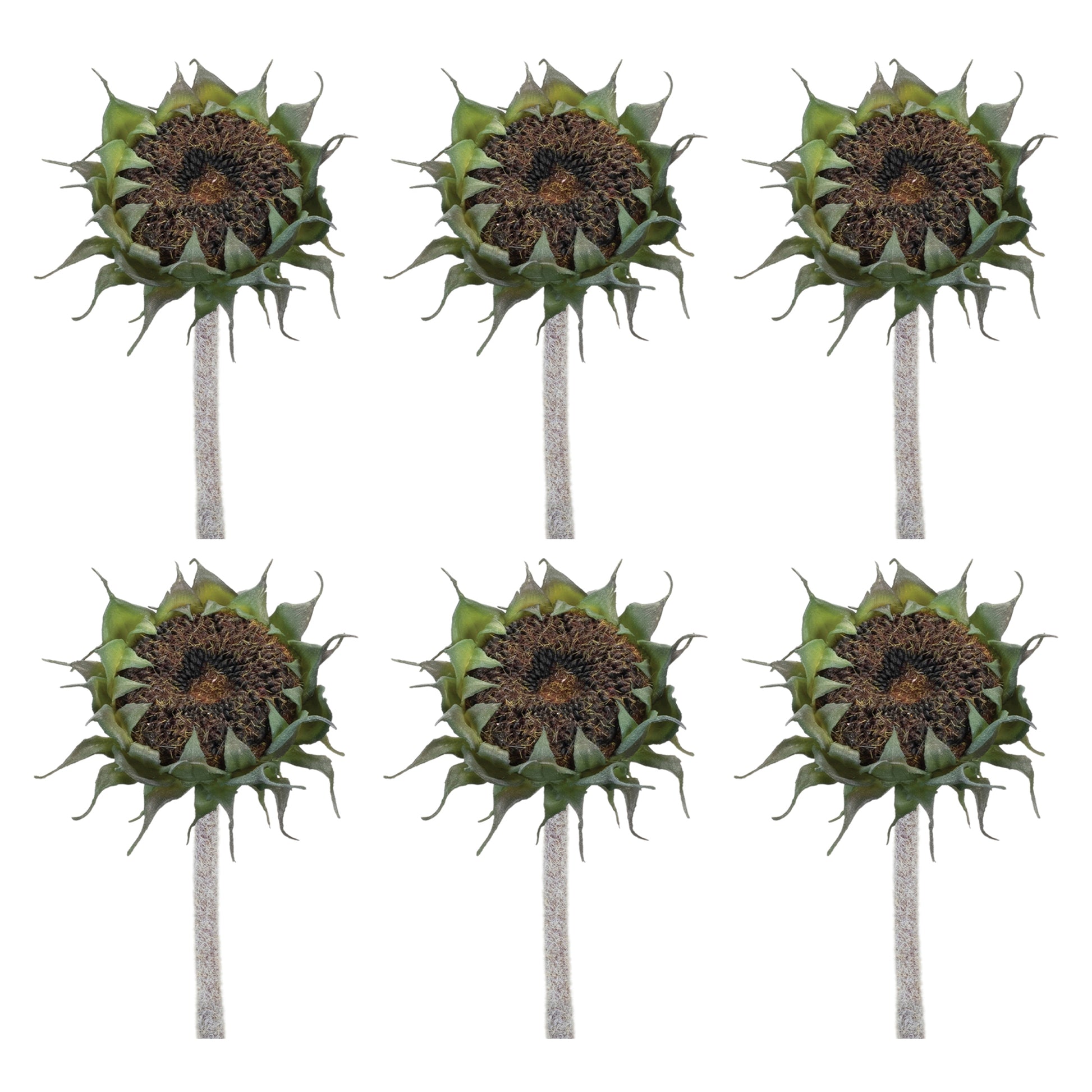 Brown Sunflower Stem (Set of 6)