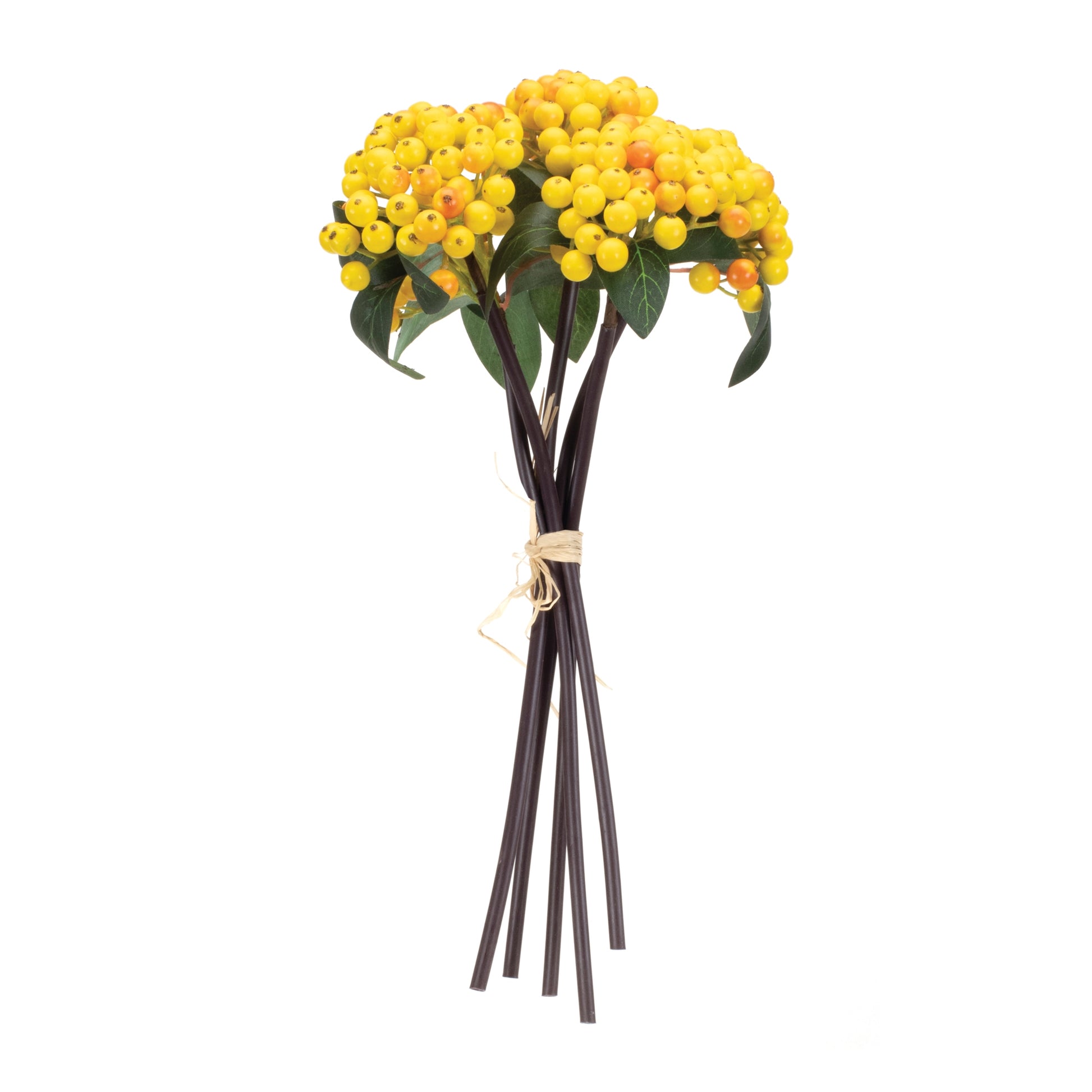 Yellow Berry Bundle (Set of 2)