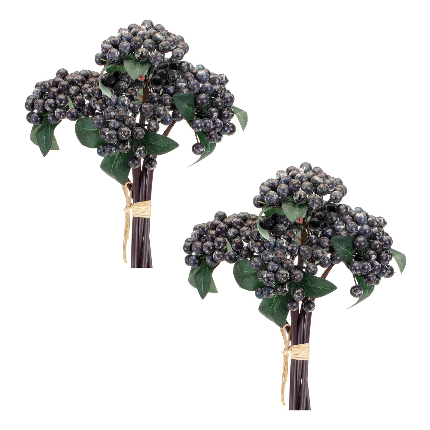 Blue Berry Bundle (Set of 2)