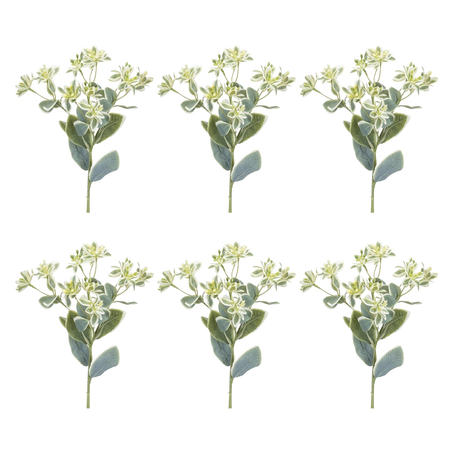 Euphorbia Floral Stem (Set of 6)