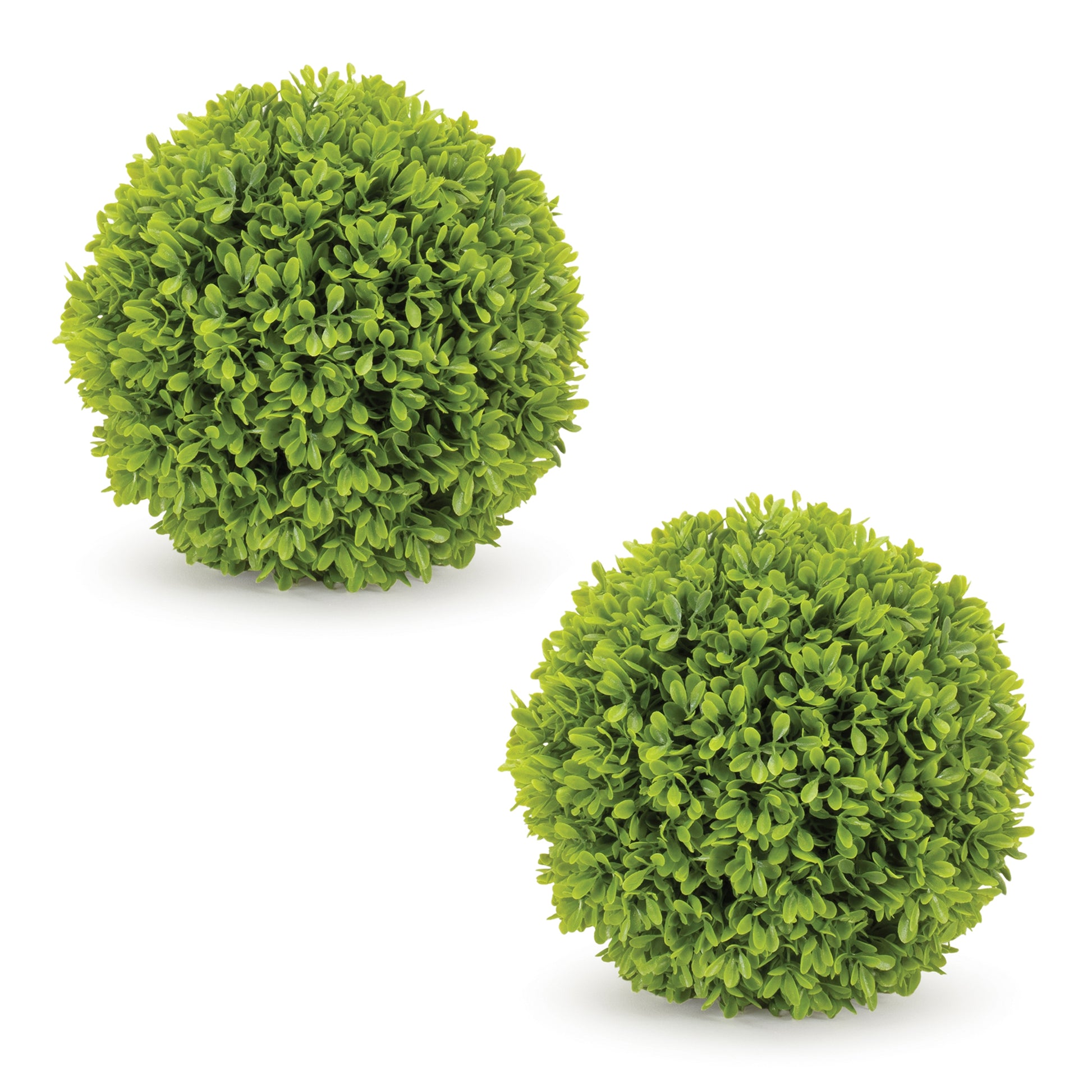 Boxwood Foliage Orb (Set of 2)