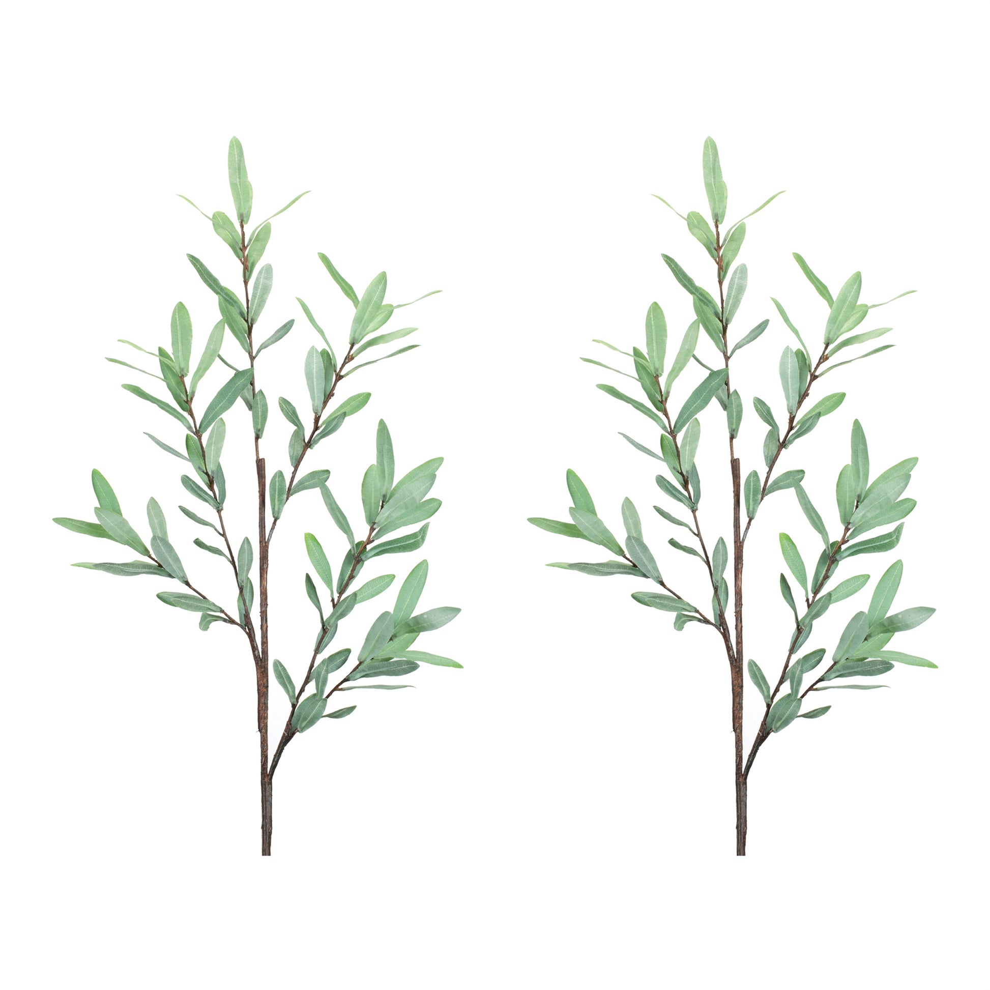 Olive Leaf Twig Branch (Set of 2)