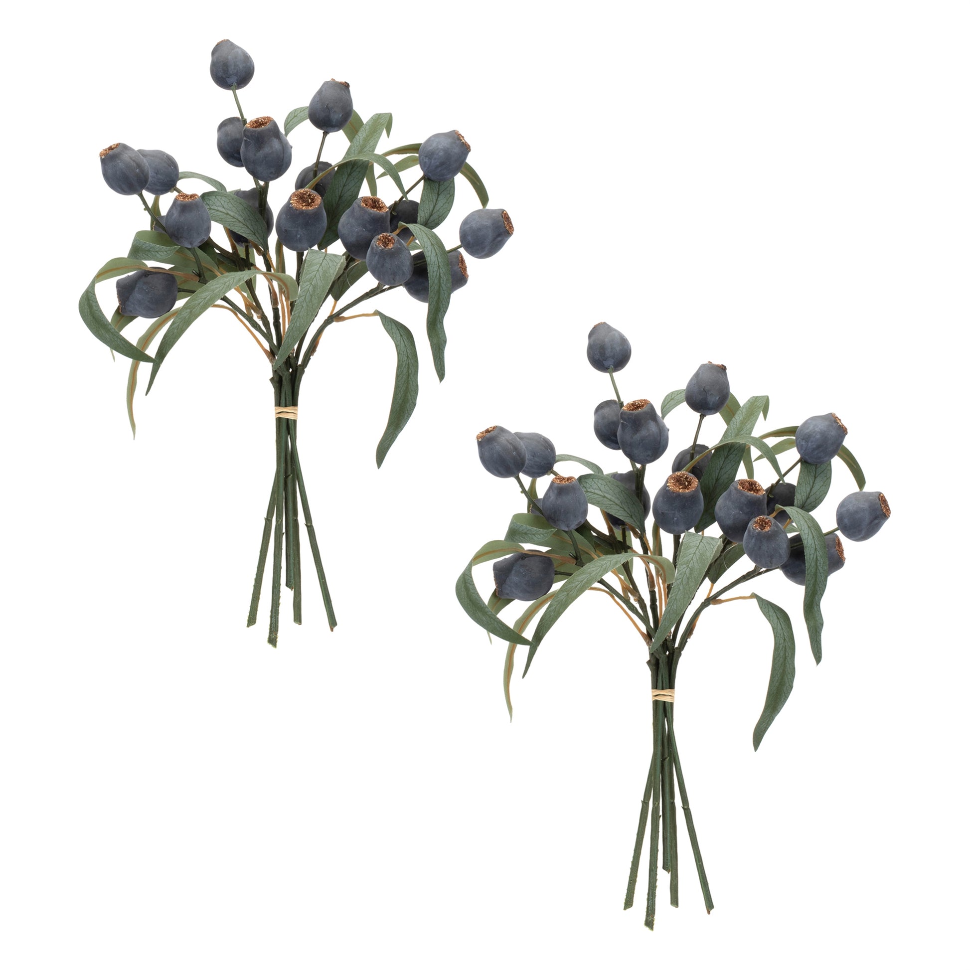 Blue Pod Foliage Bundle (Set of 2)