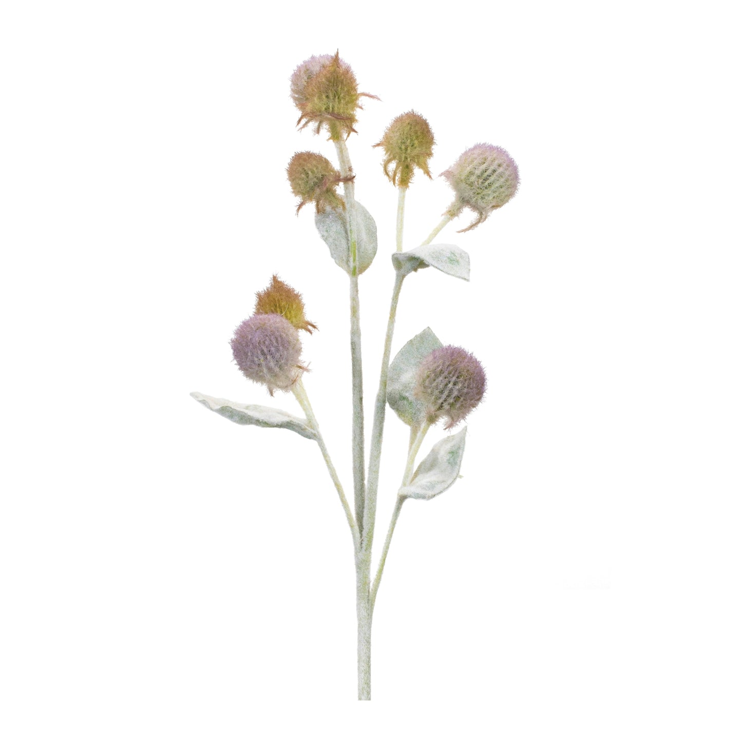 Thistle Spray (Set of 6) 27.5"H Plastic