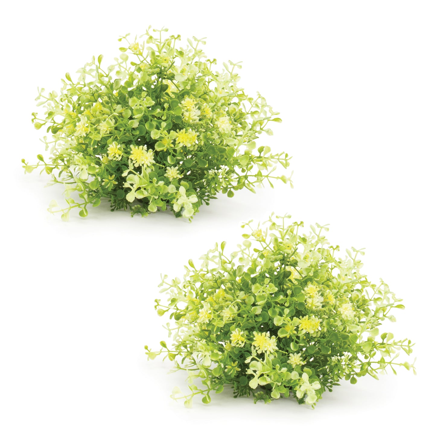 Mini Leaf Foliage Half Orb (Set of 2)