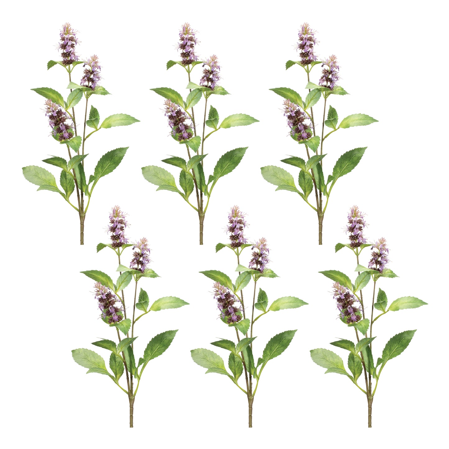 Buddleia Floral Stem (Set of 6)