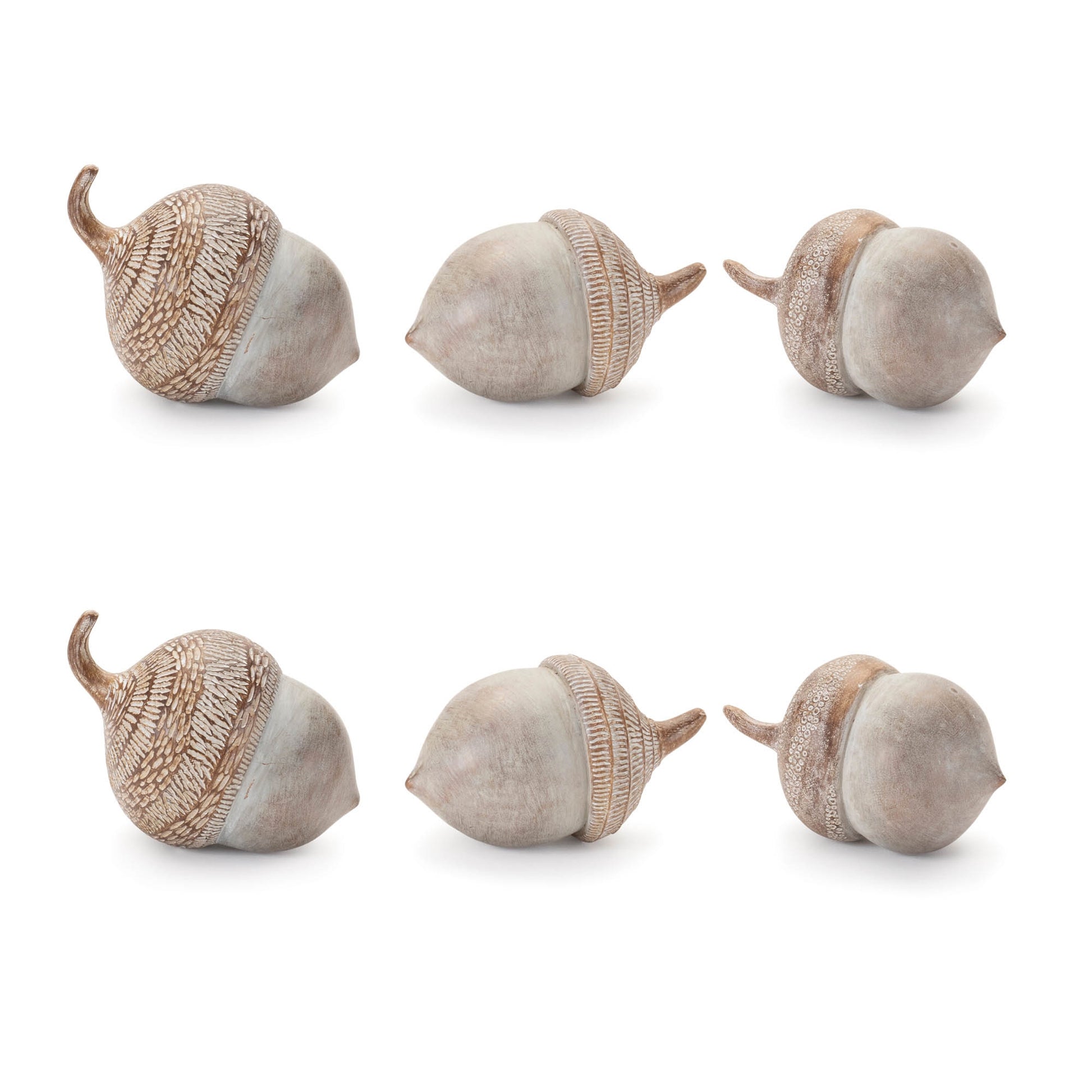 White Washed Etched Acorn (Set of 6)