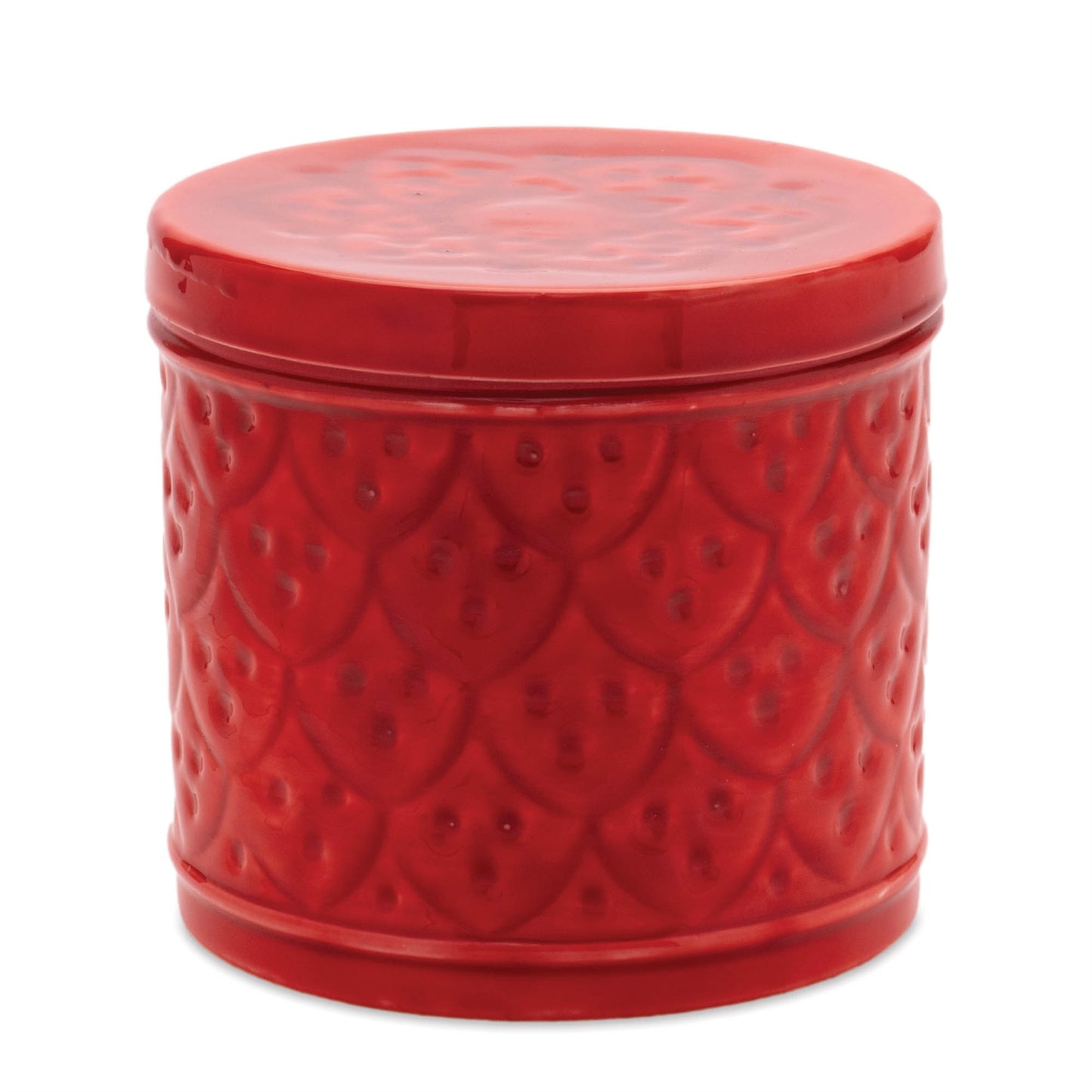 Red Metal Container with Lid (Set of 2)