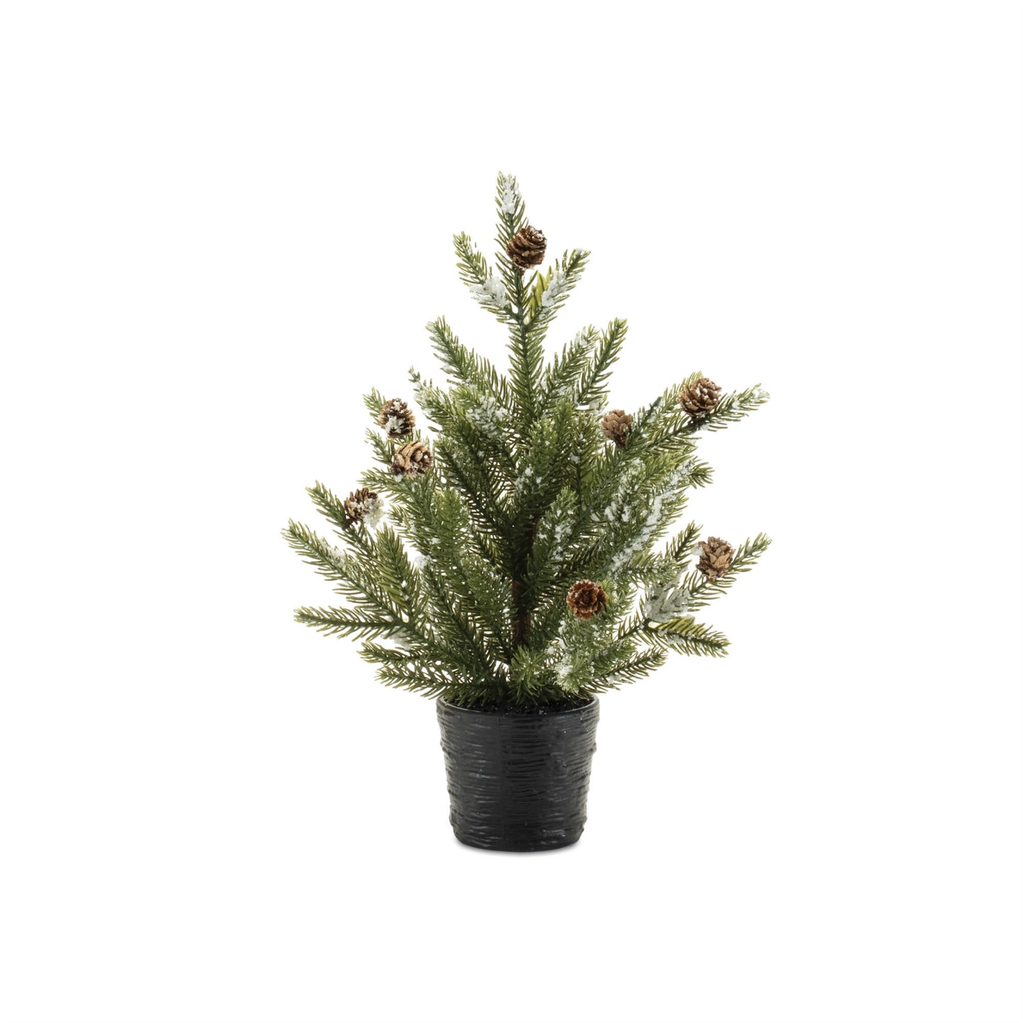 Potted Mini Pine Tree (Set of 2)