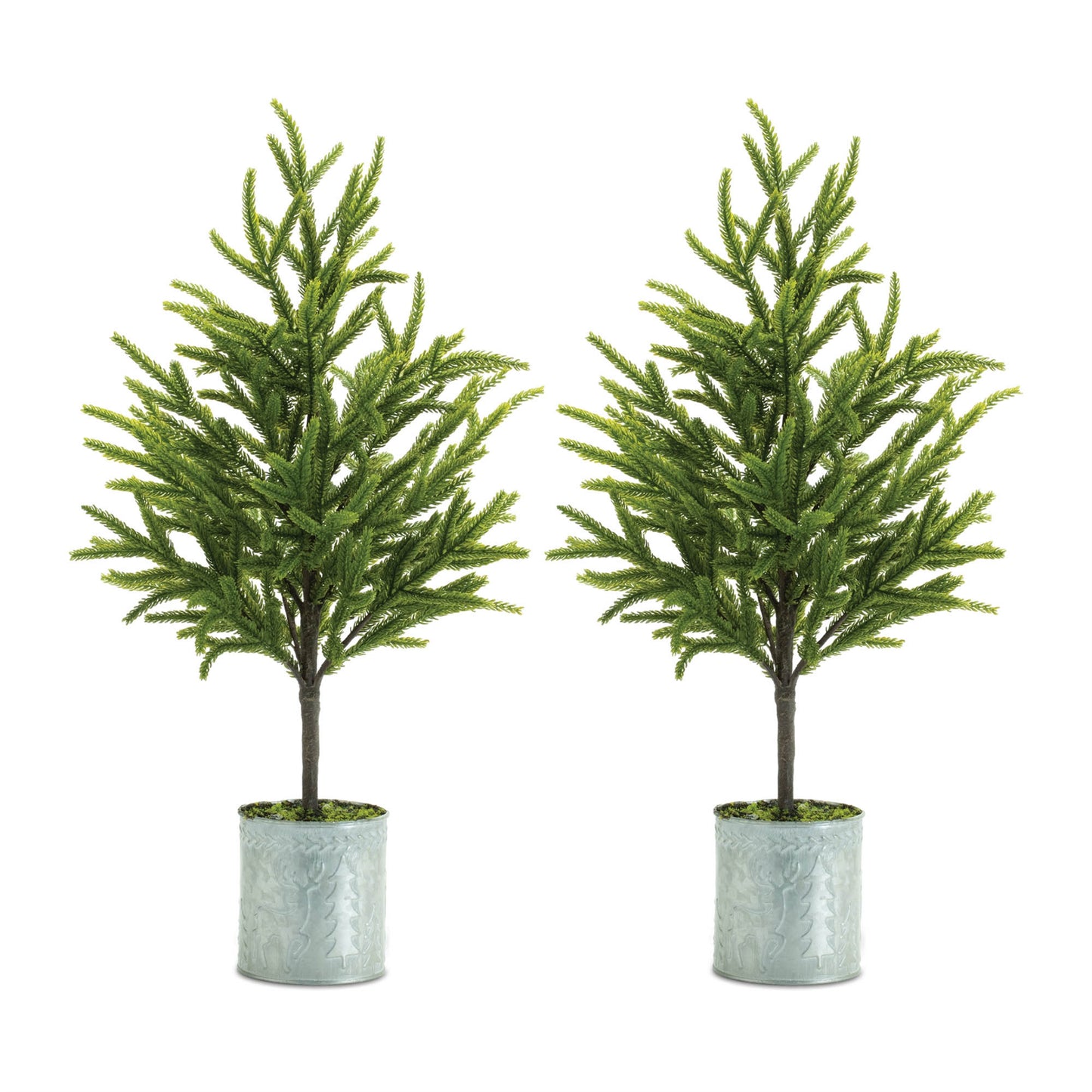 Potted Mini Pine Tree (Set of 2)