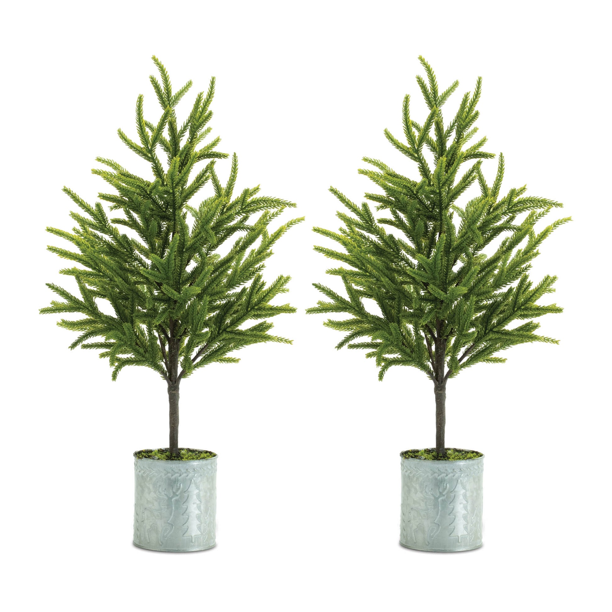 Potted Mini Pine Tree (Set of 2)